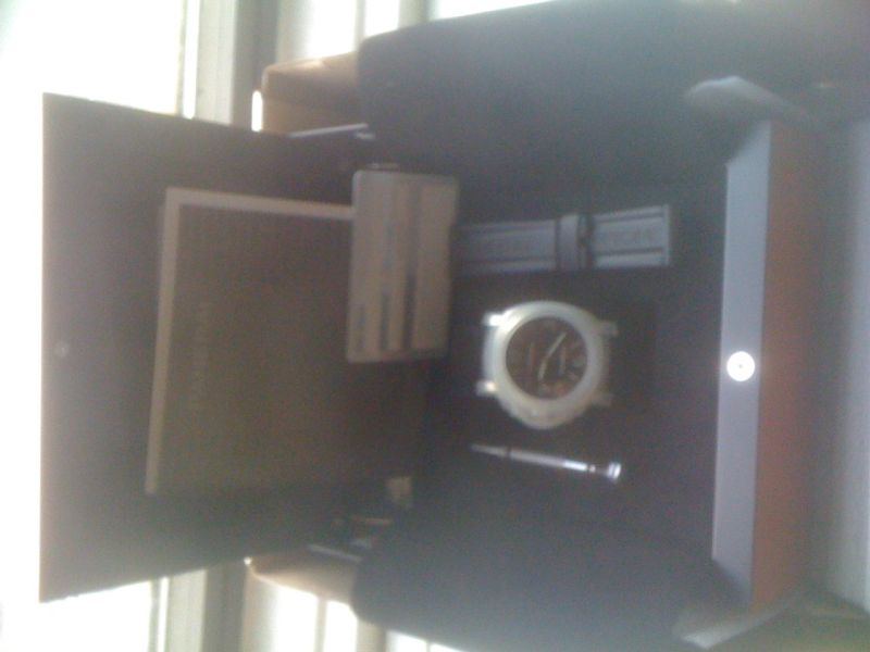 Panerai watch listing