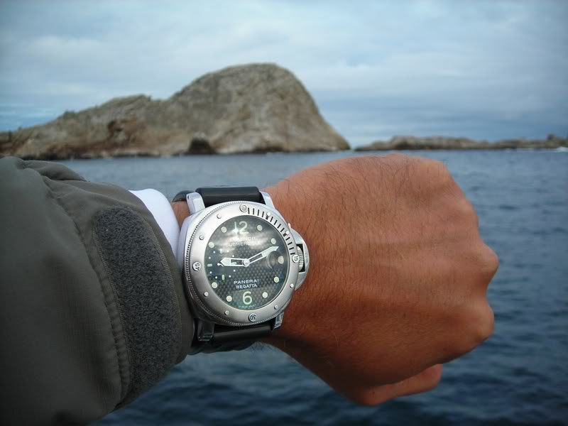 Panerai watch listing