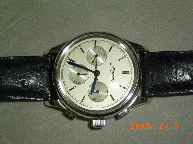 Minerva watch listing