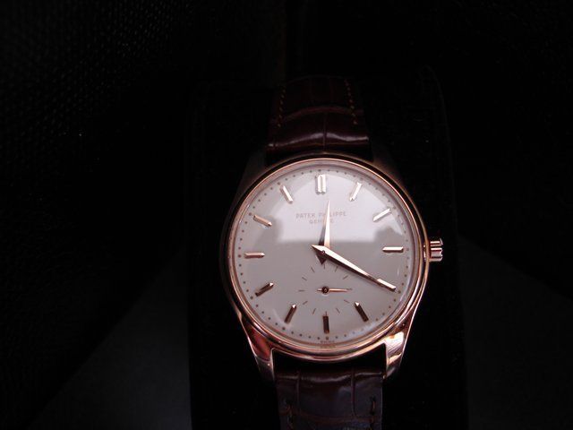 Patek Philippe watch listing