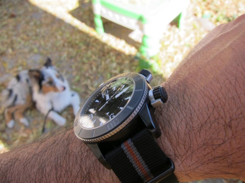 Jaeger LeCoultre watch listing