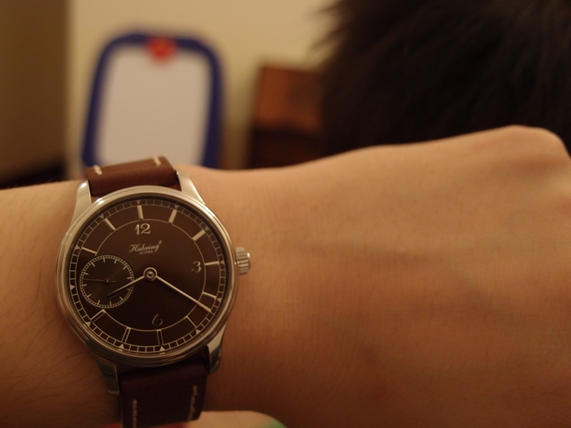 Habring2 watch listing