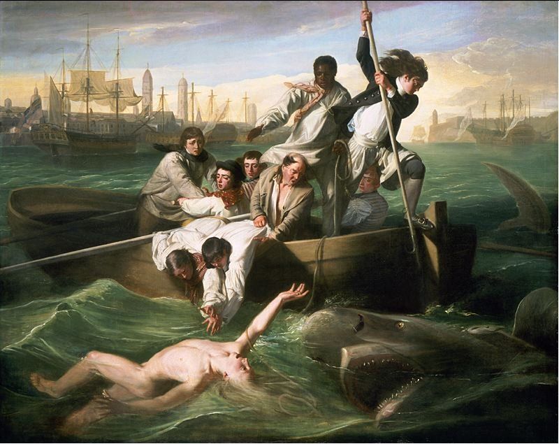 'Watson & The Shark' by John Singleton Copley [photo courtesy of the National Gallery of Art].