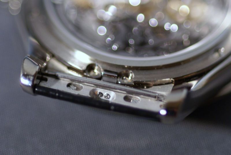 Patented case back release mechanism exposed
