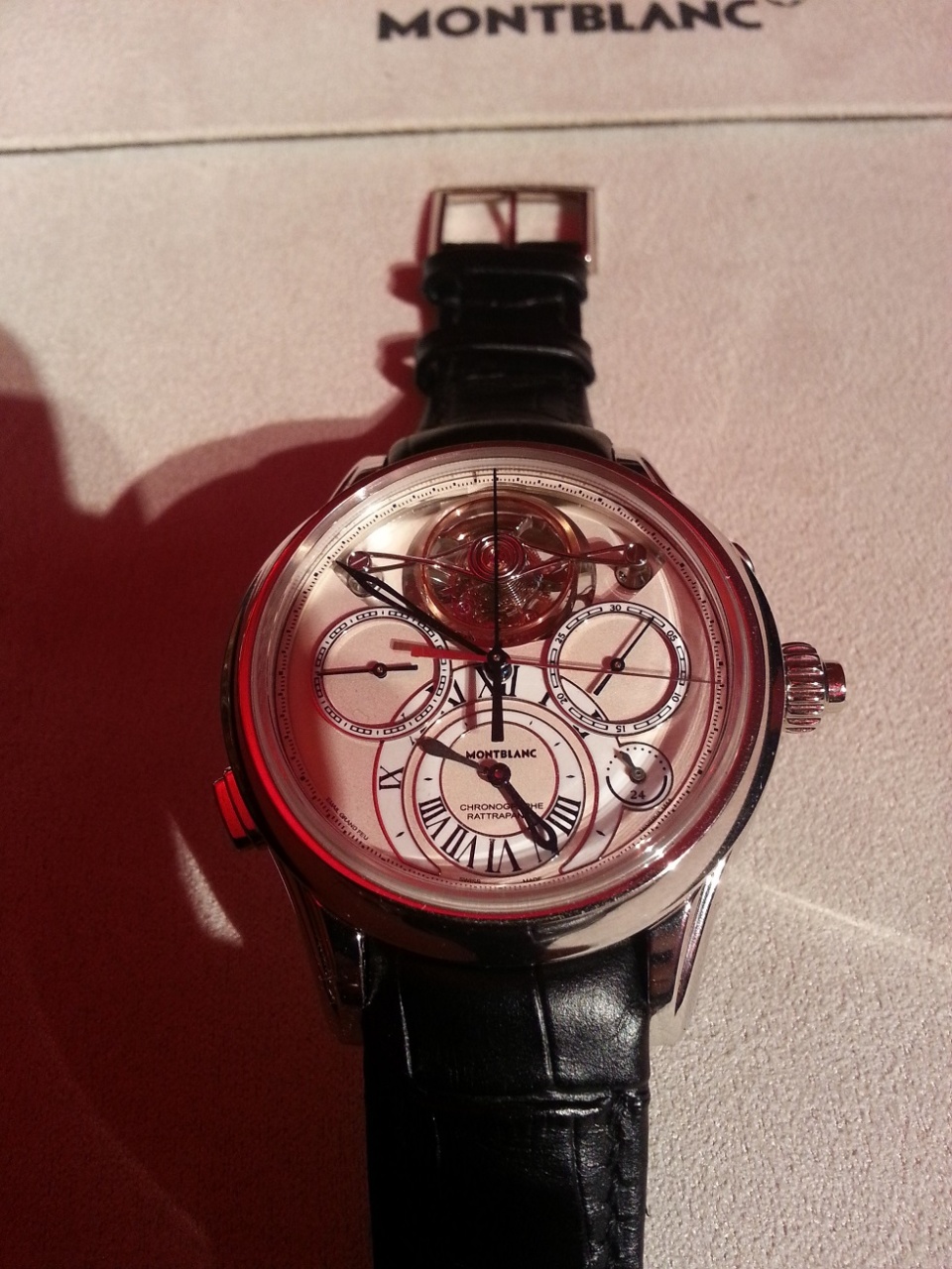 At last I got a good shot of this... I hope...