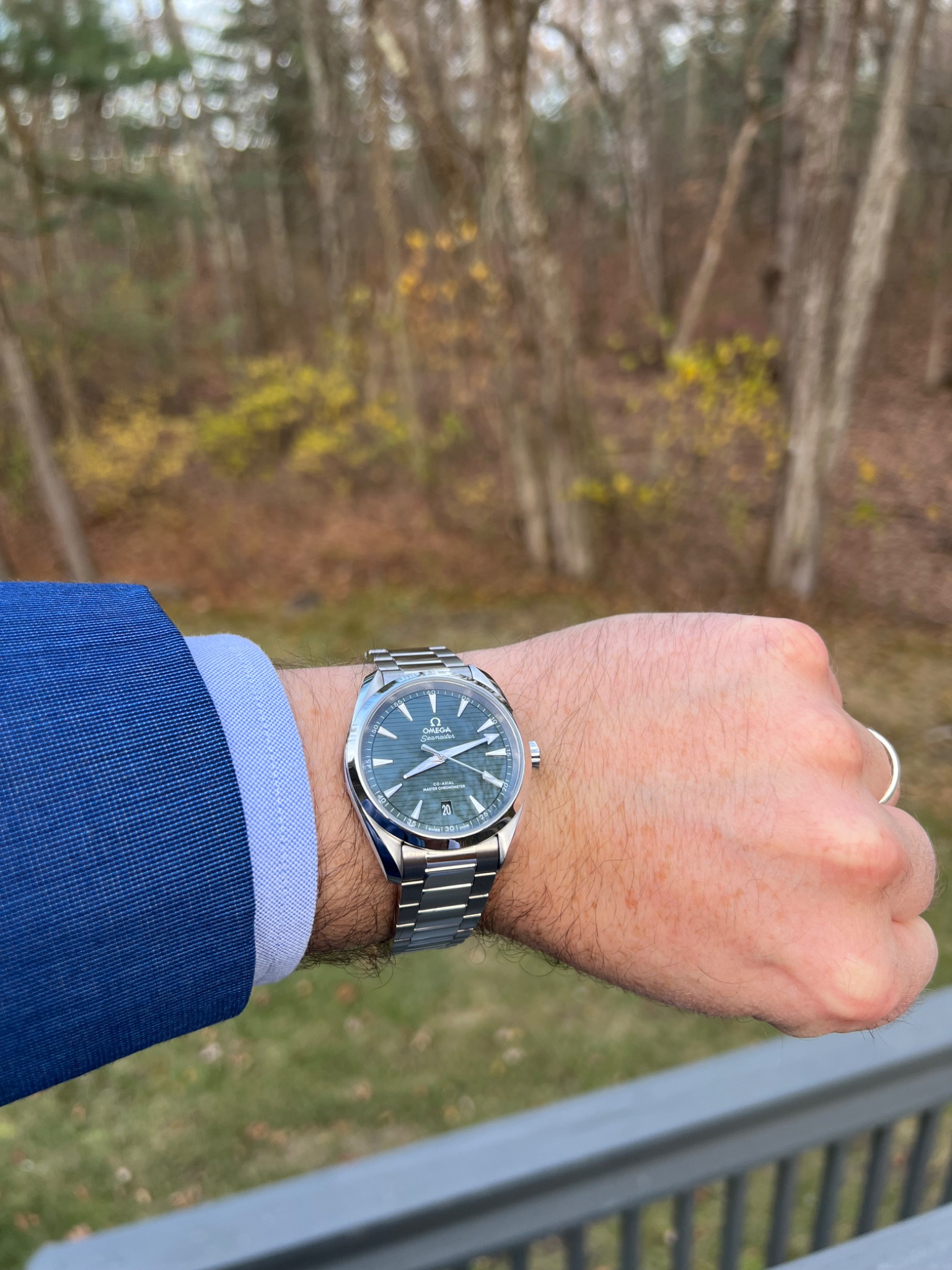 Watch by Omega, Seamaster, Aqua Terra, Aqua Terra Master Co-Axial
