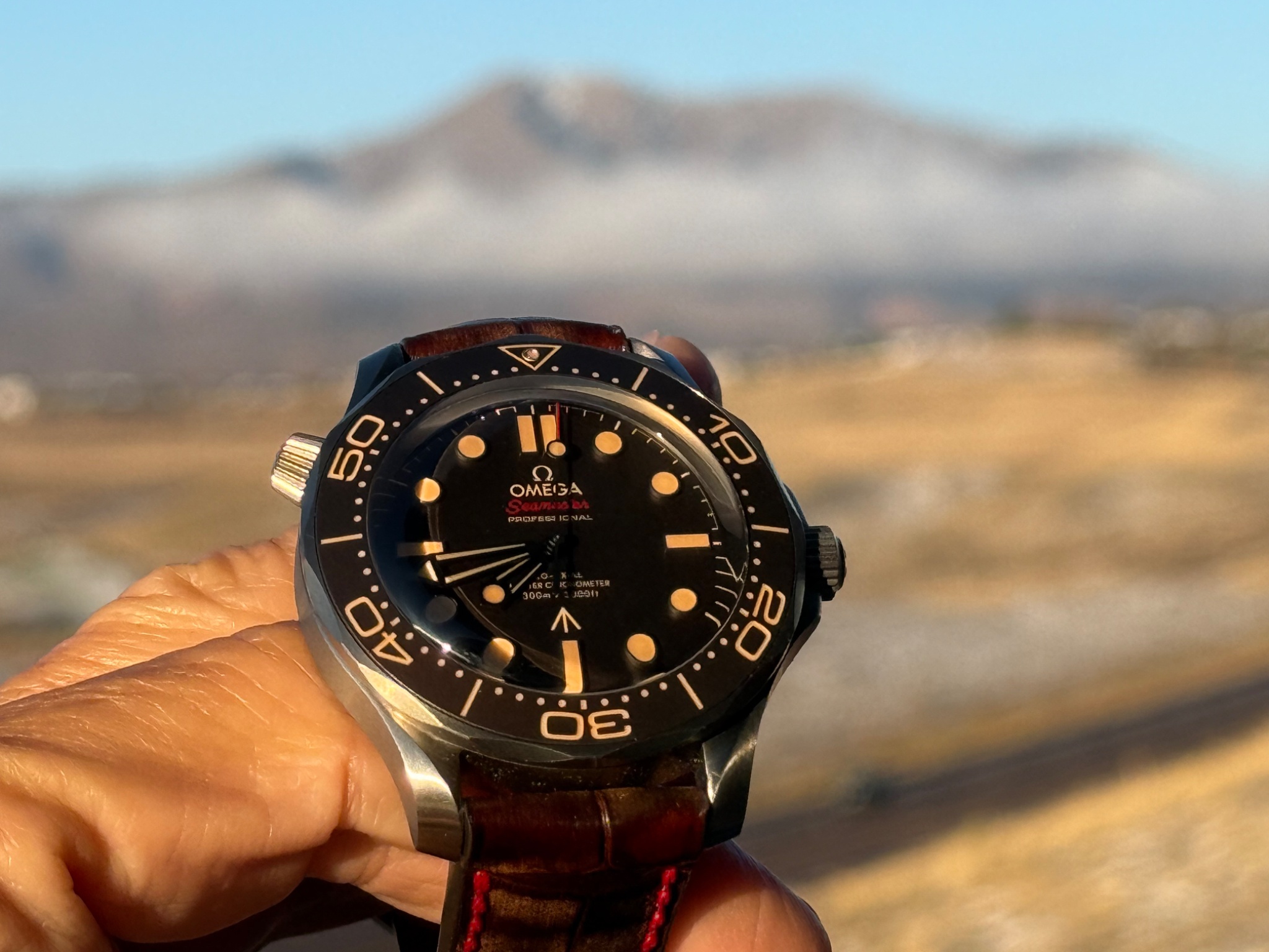Watch by Omega, Seamaster, Seamaster Diver, 007 Edition