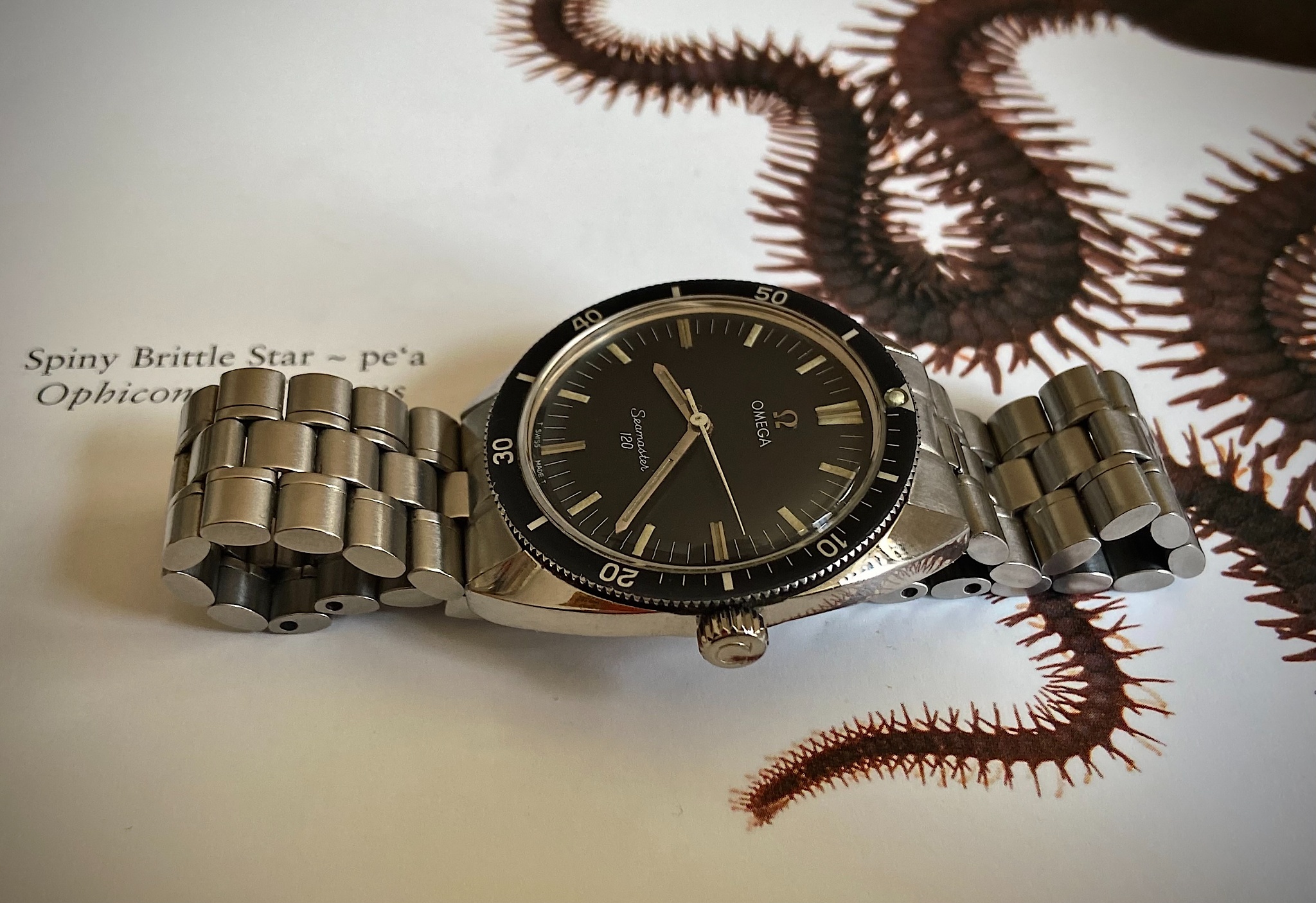 Watch by Omega, Seamaster, Seamaster 120