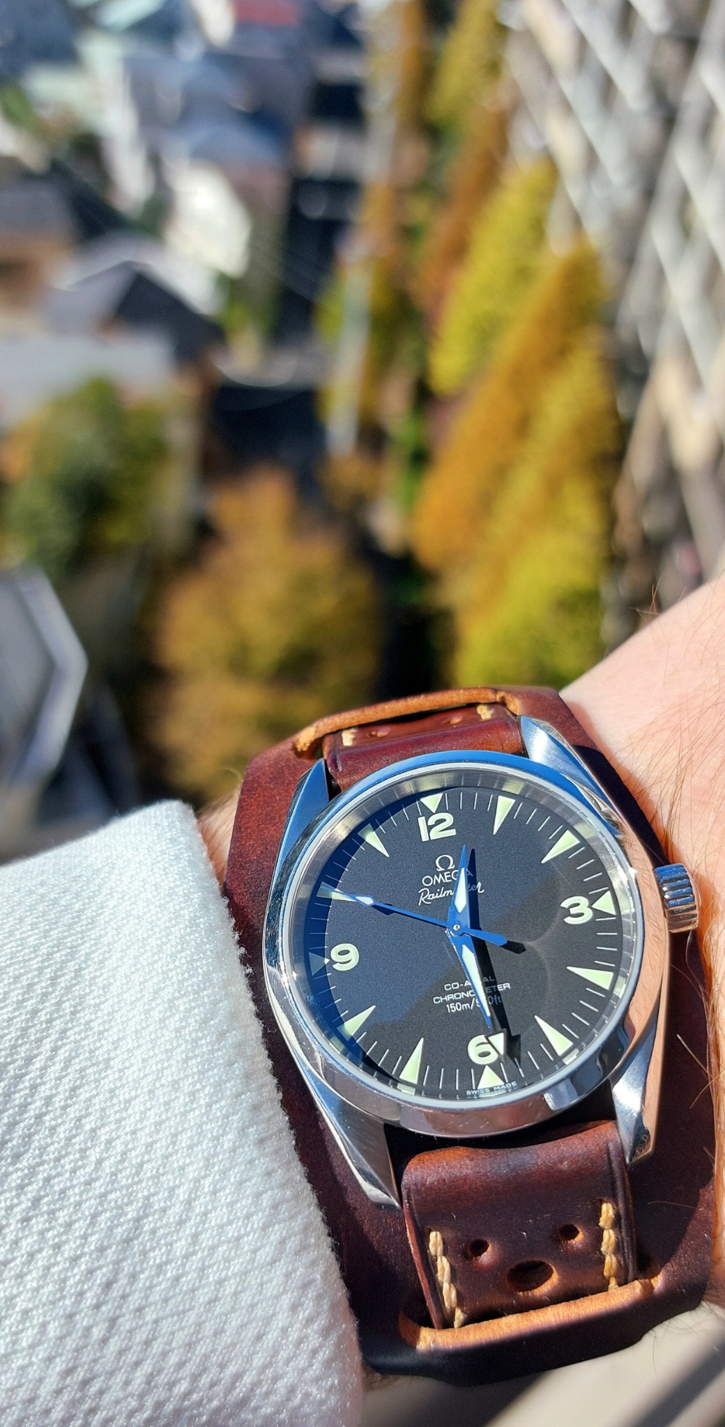 Watch by Omega, Seamaster, Aqua Terra, Aqua Terra Co-Axial