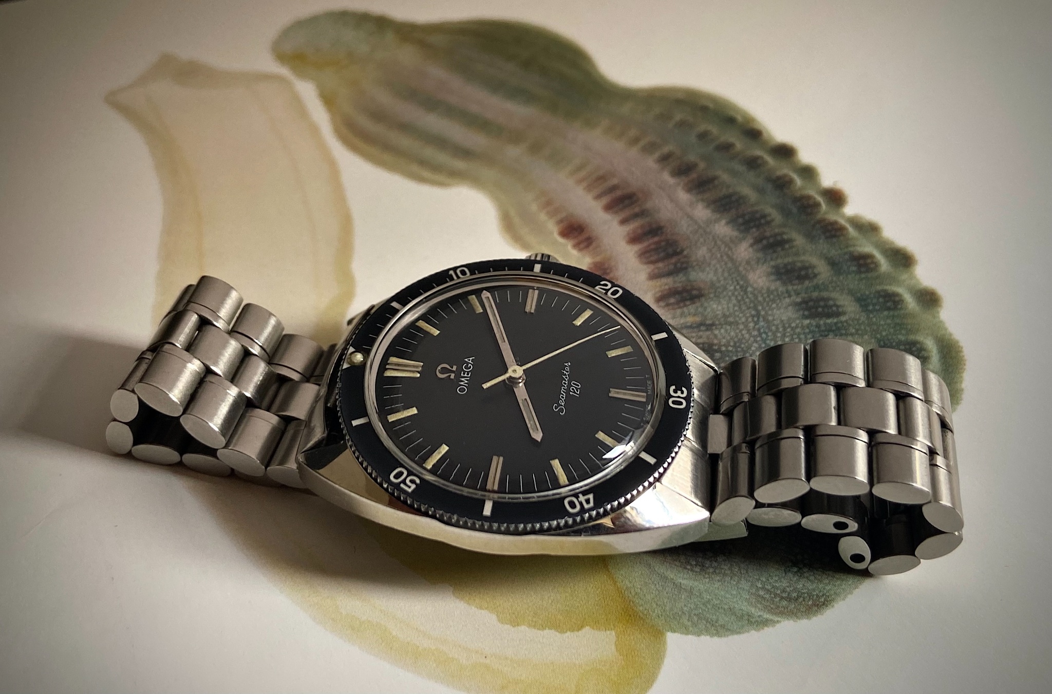 Watch by Omega, Seamaster, Seamaster 120