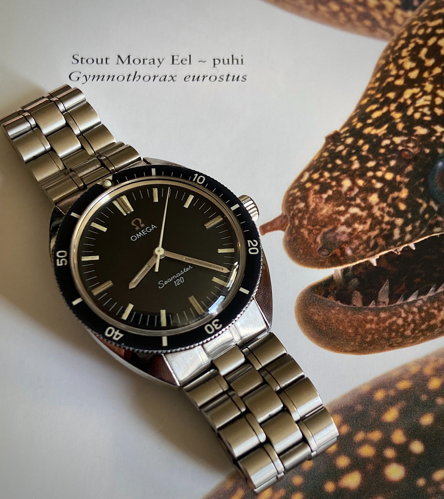 Watch by Omega, Seamaster, Seamaster 120