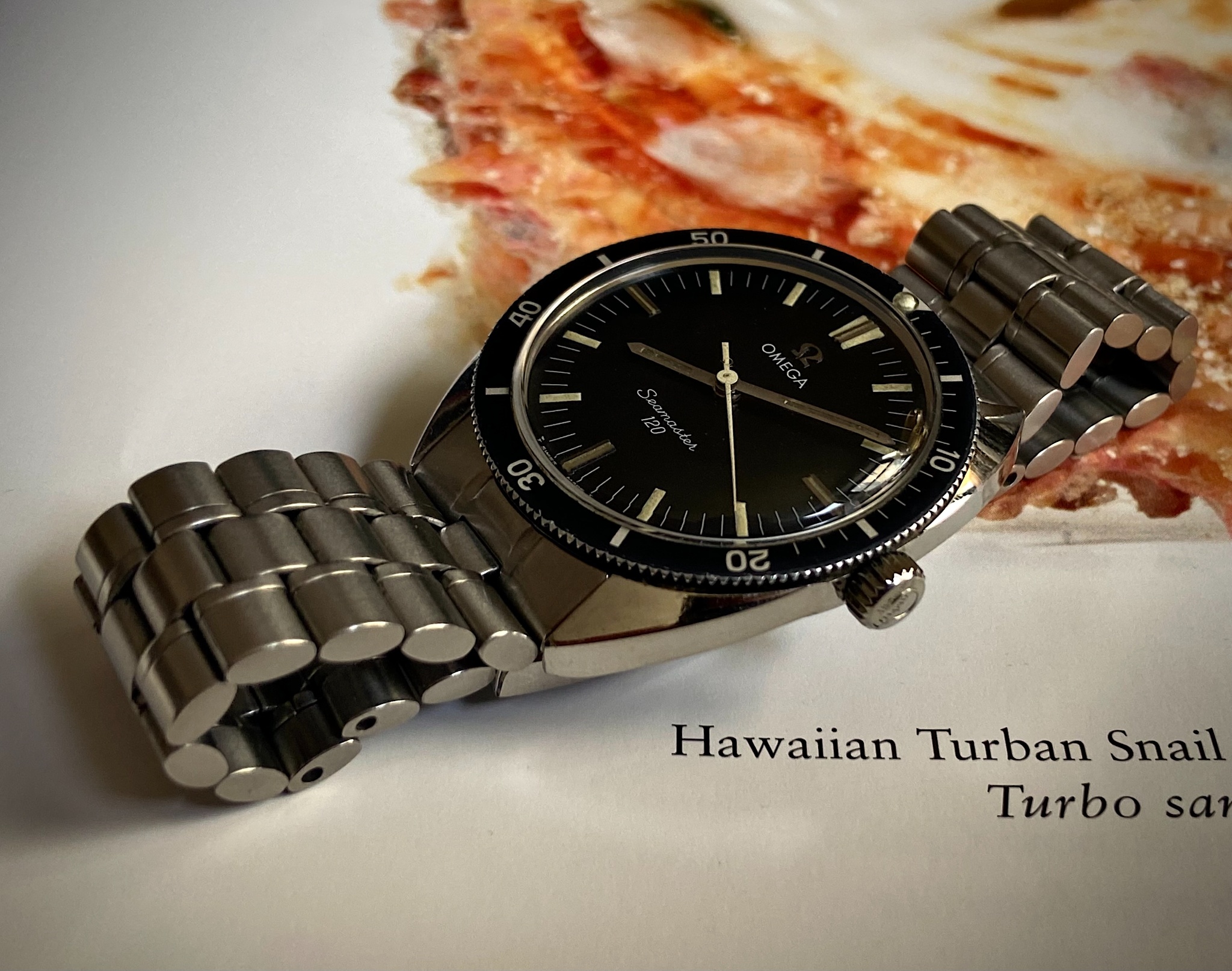 Watch by Omega, Seamaster, Seamaster 120