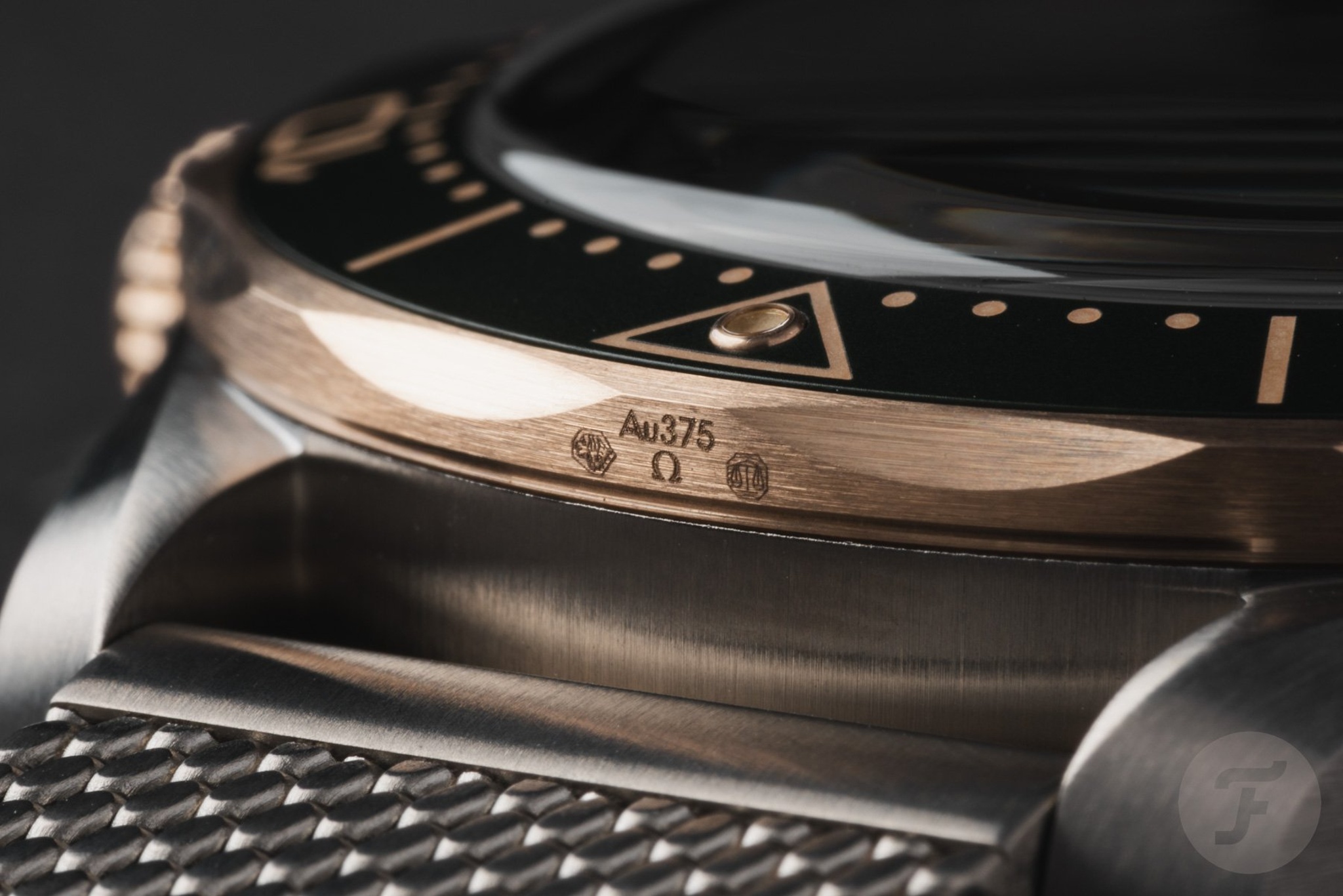 Watch by Omega, Seamaster Diver
