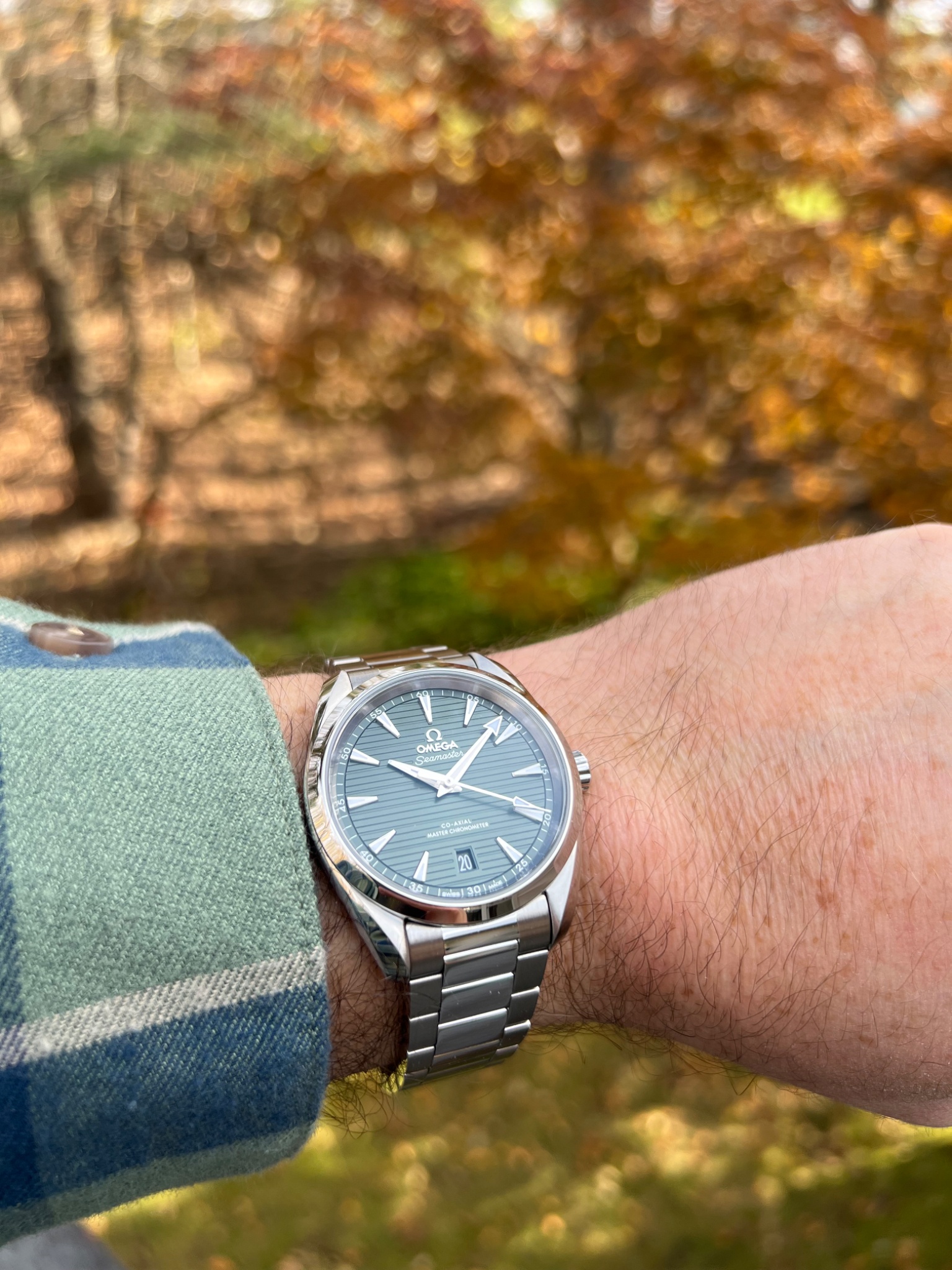 Watch by Omega, Seamaster, Aqua Terra, Aqua Terra Master Co-Axial
