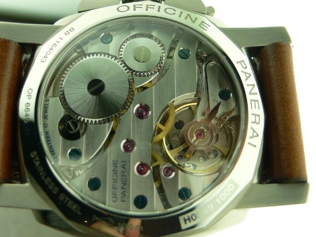 Can not fault this puppy in any way