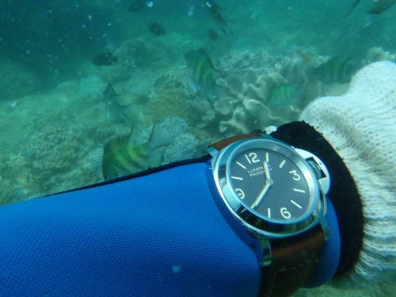 one nice thing about having an elven wrist is that you dont need an extension strap for wearing the watch over a wetsuit