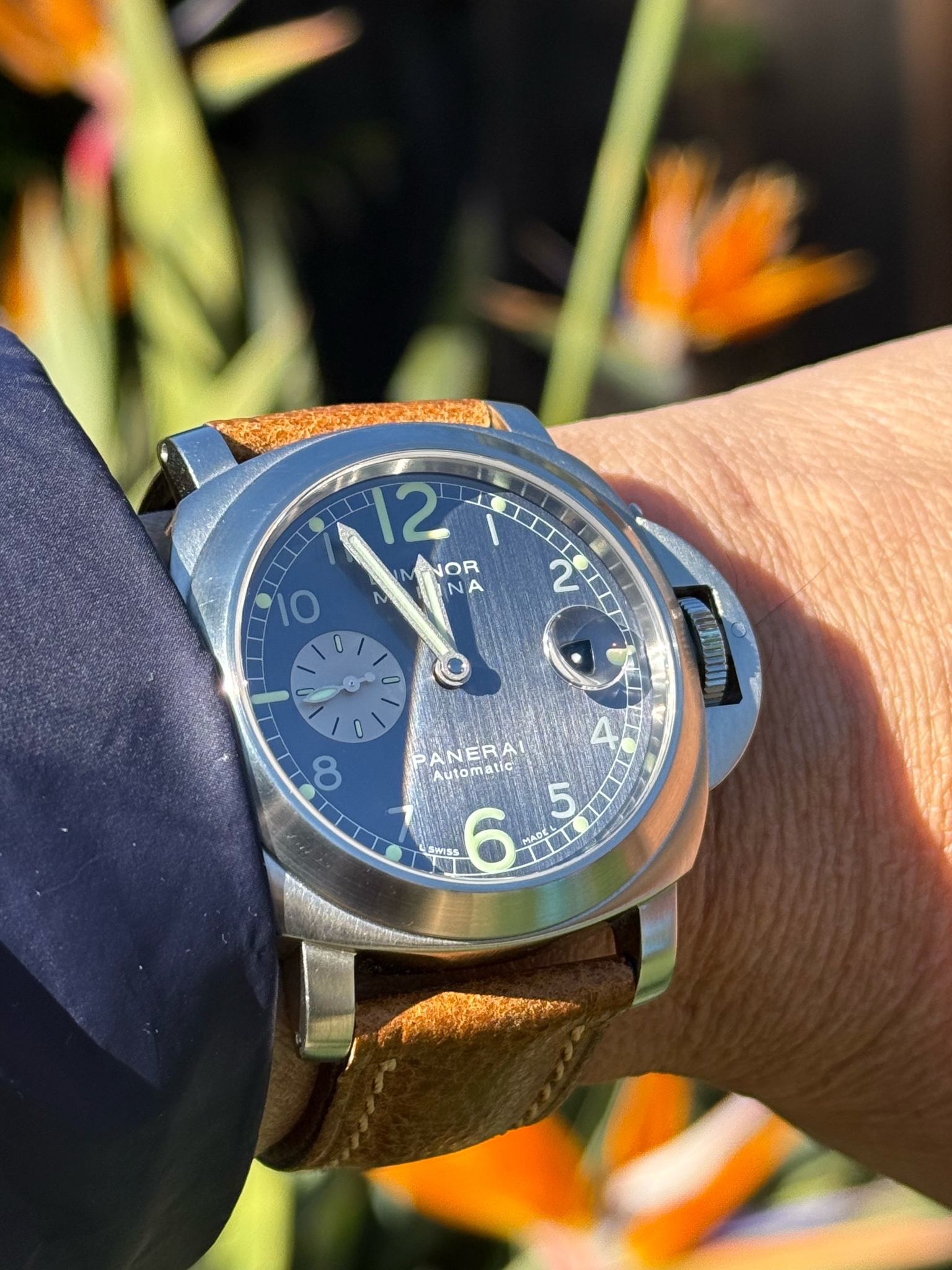Watch by Officine Panerai, Panerai, Luminor, Luminor Marina, PAM086