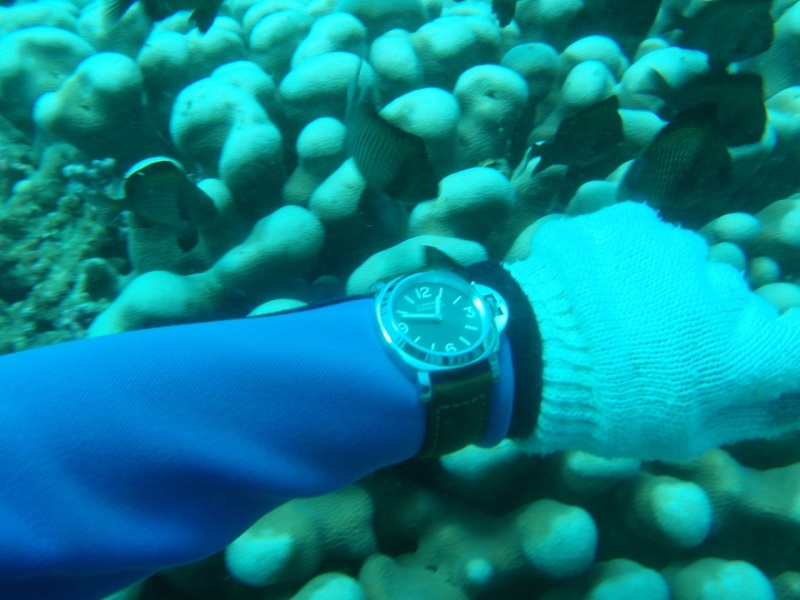 being super careful not to scratch my shiny watch against the coral