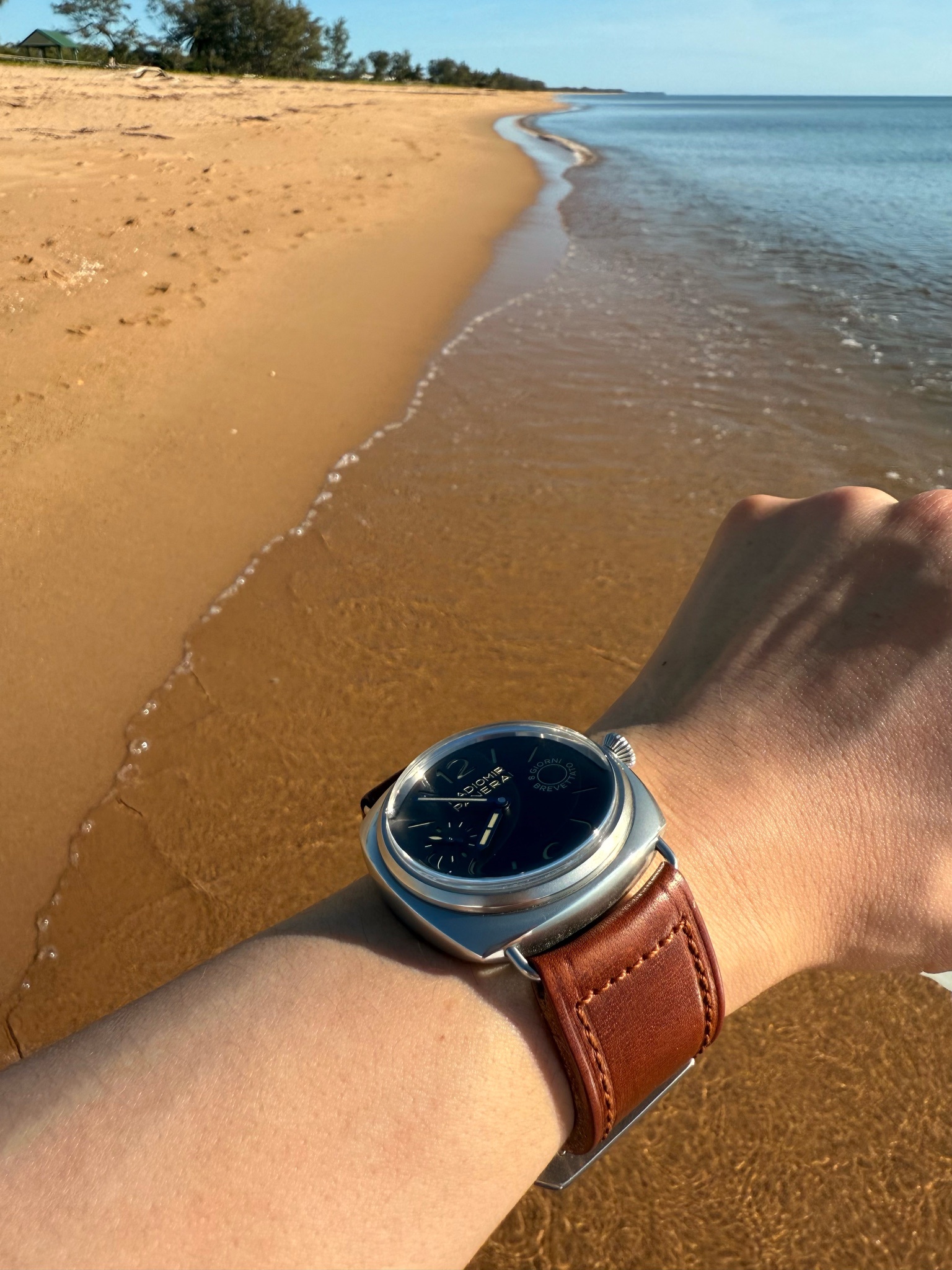 Watch by Officine Panerai, Panerai, Radiomir, Radiomir 8 Days, PAM992