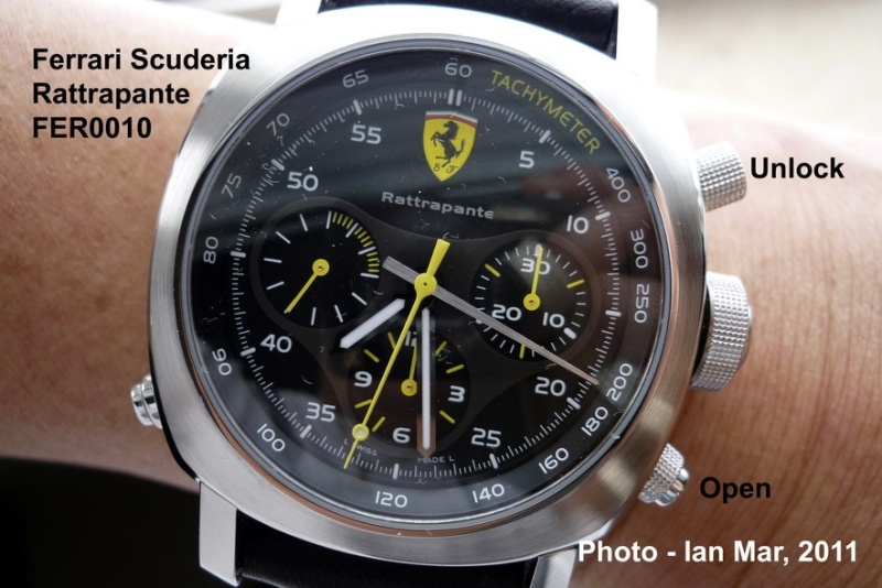 Cousin of the family