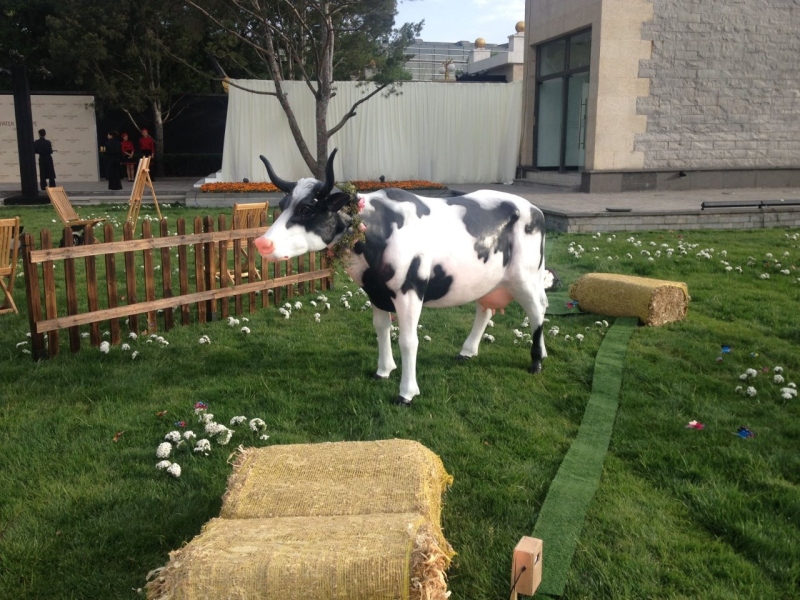 a very lifelike dairy cow