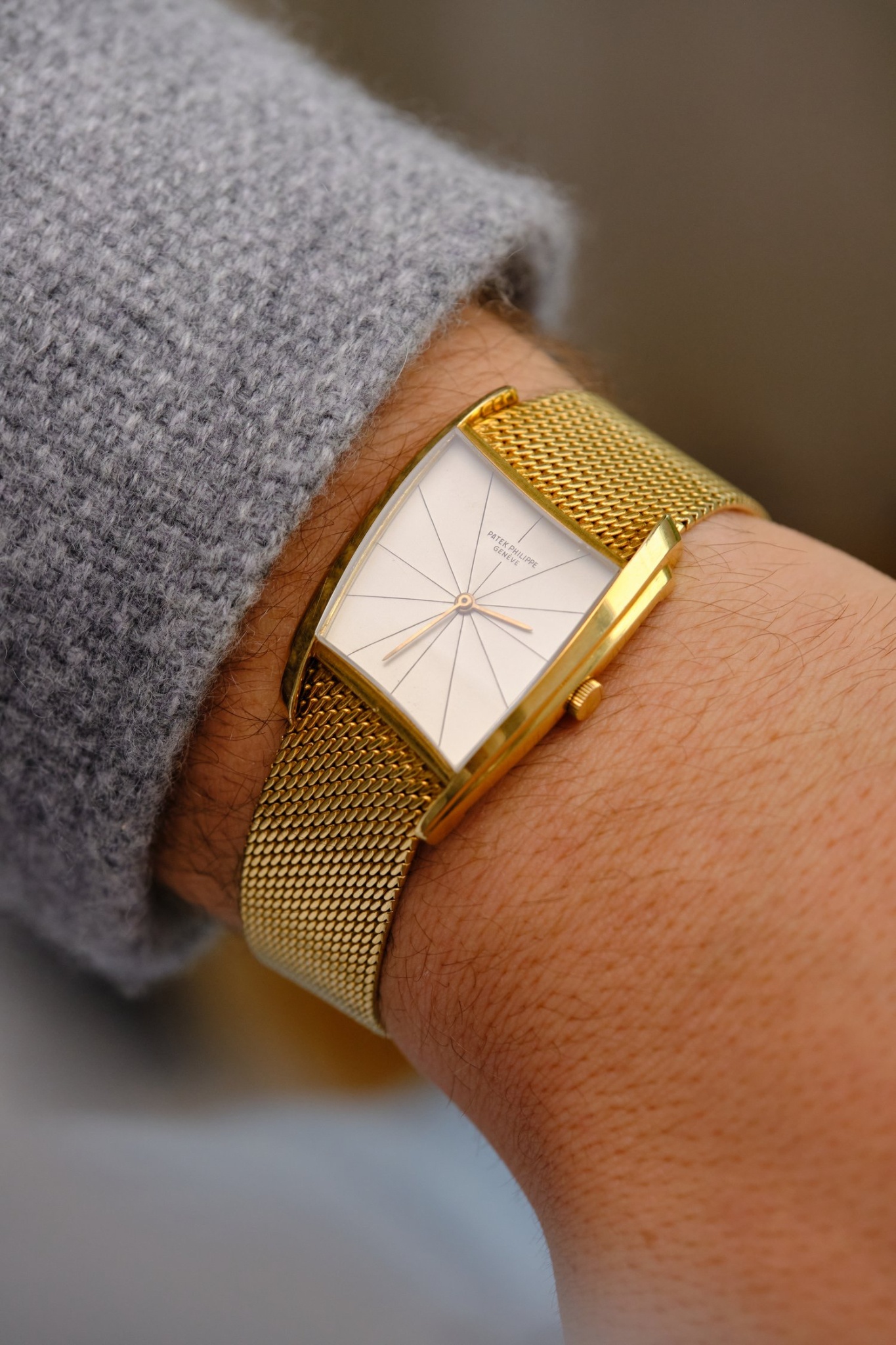 Watch by Patek Philippe, Lang and Heyne