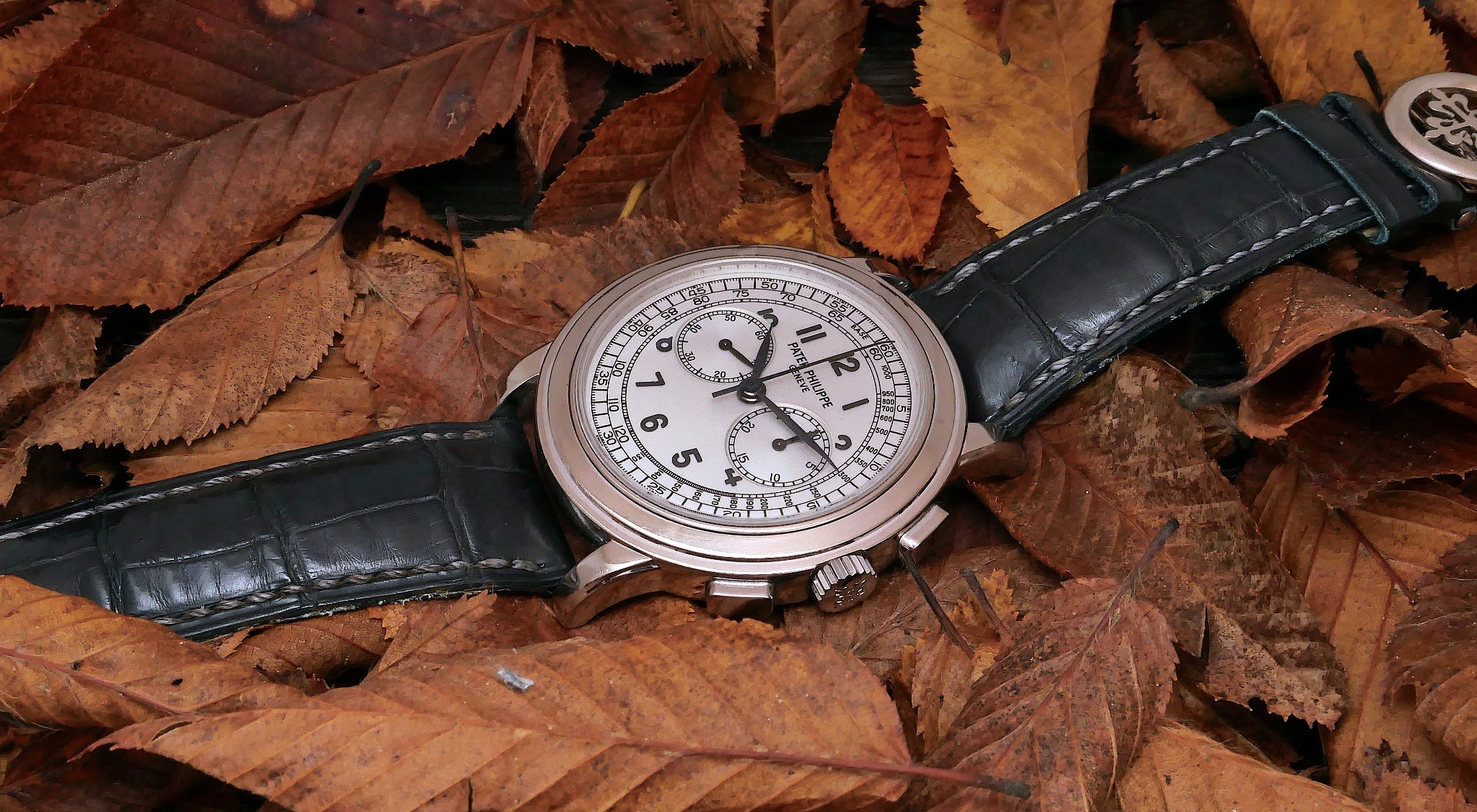 Watch by Patek Philippe, complications, 5070, 5070G-001