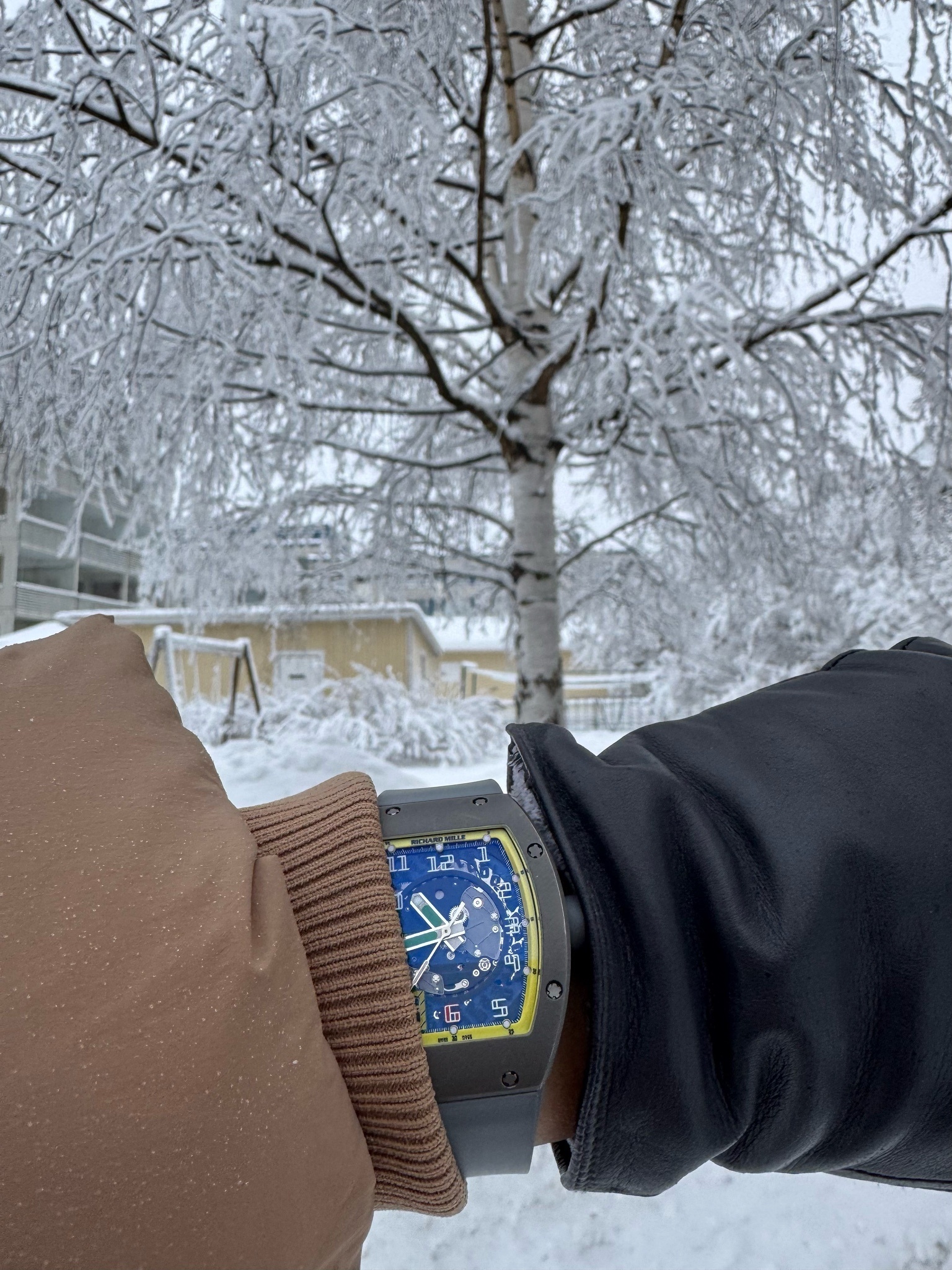 Watch by Richard Mille, RM005