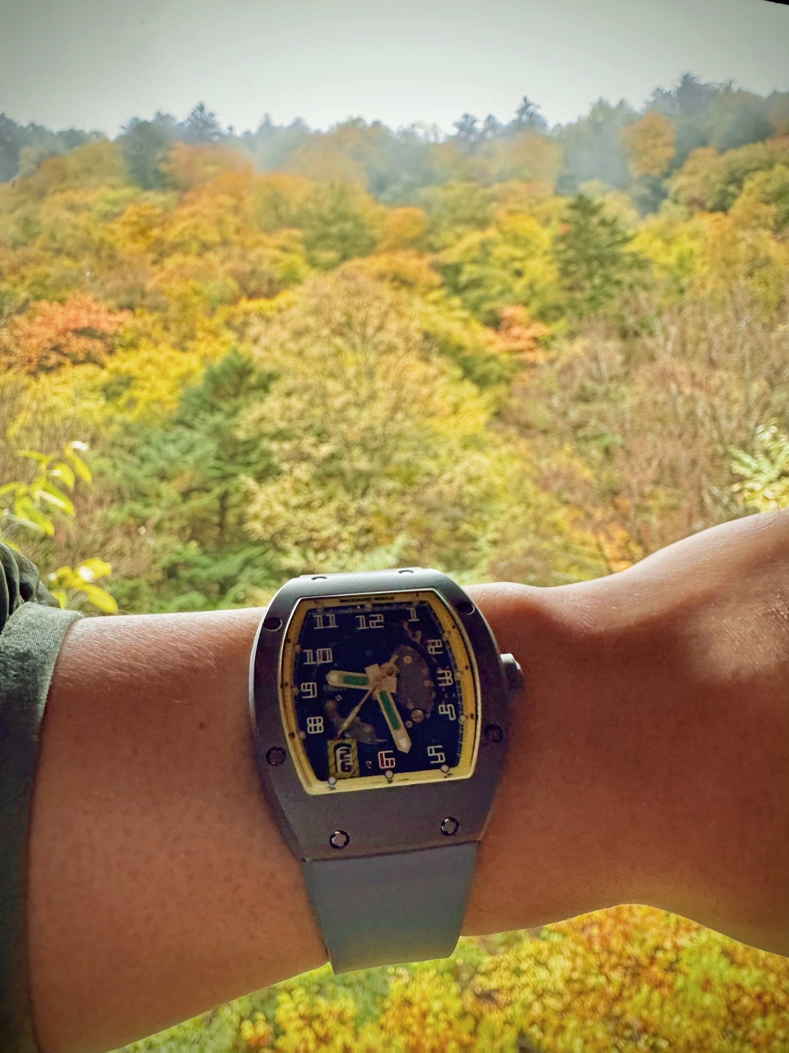 Watch by Richard Mille, RM005
