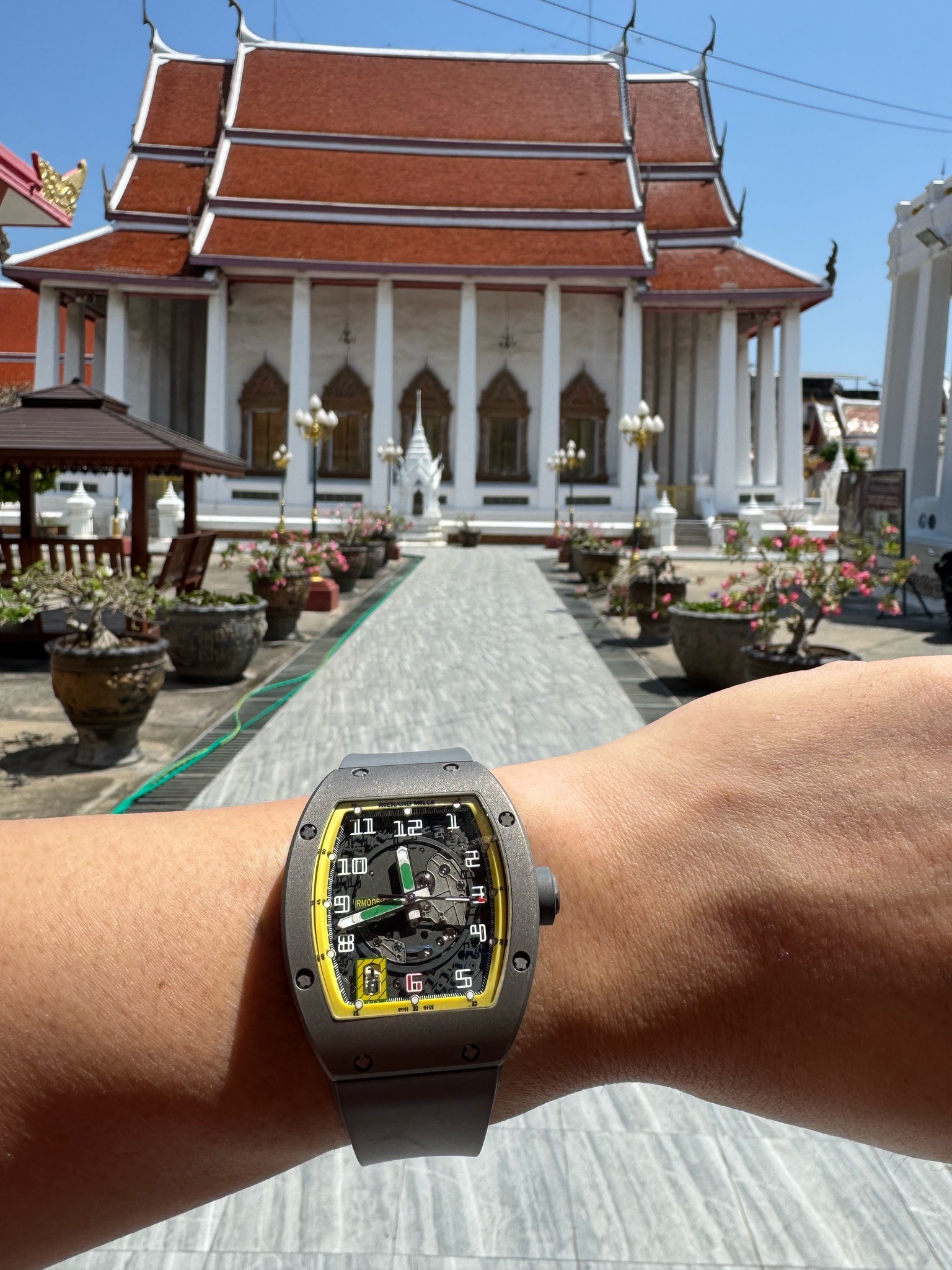 Watch by Richard Mille, RM005