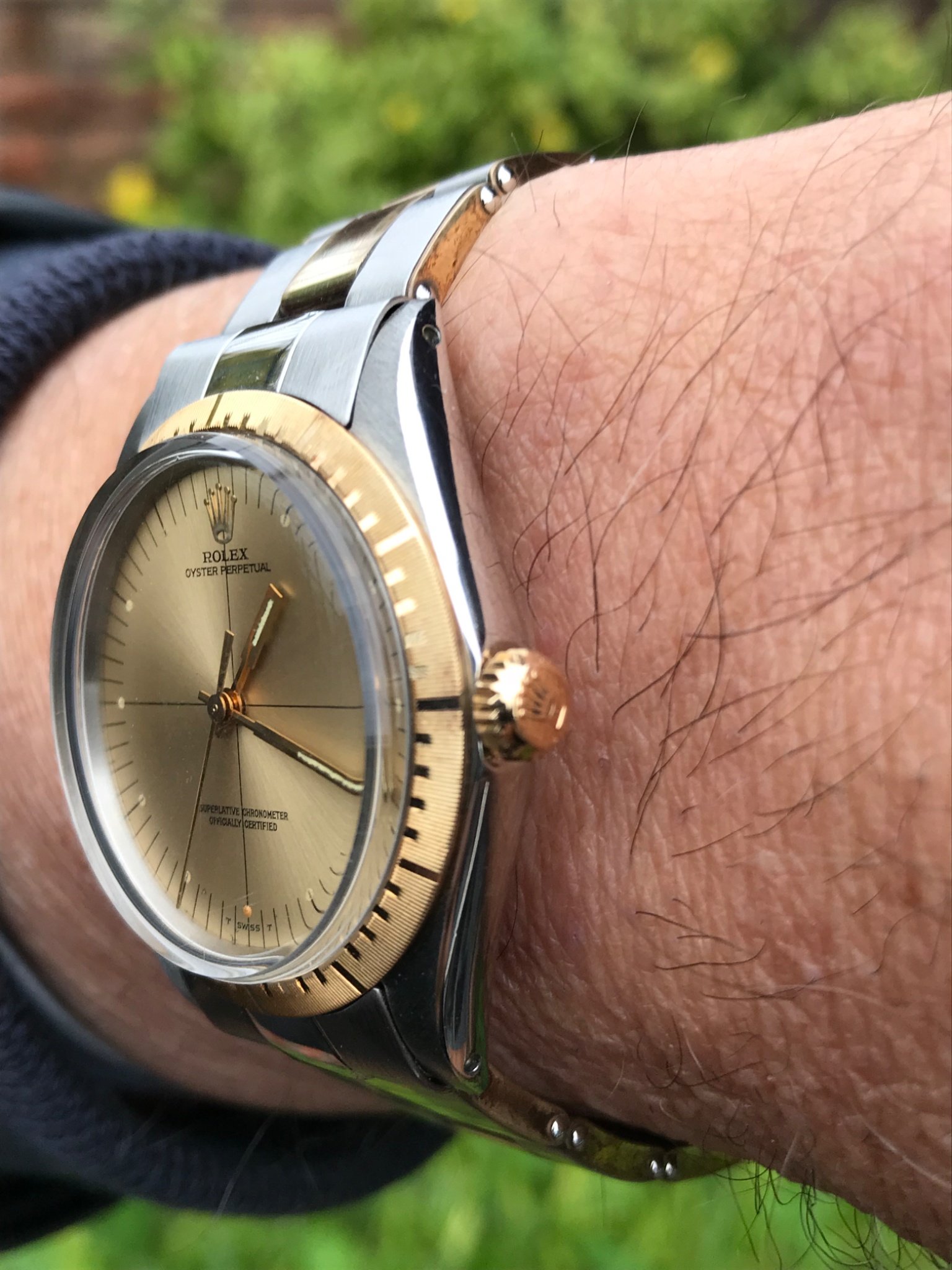 Watch by Rolex, Oyster Perpetual, 1038