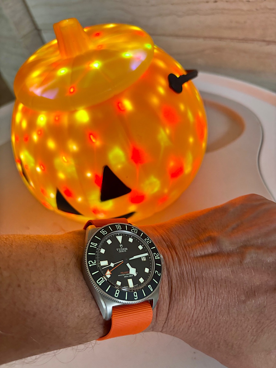 Watch by Rolex, Tudor, Pelagos, FXD