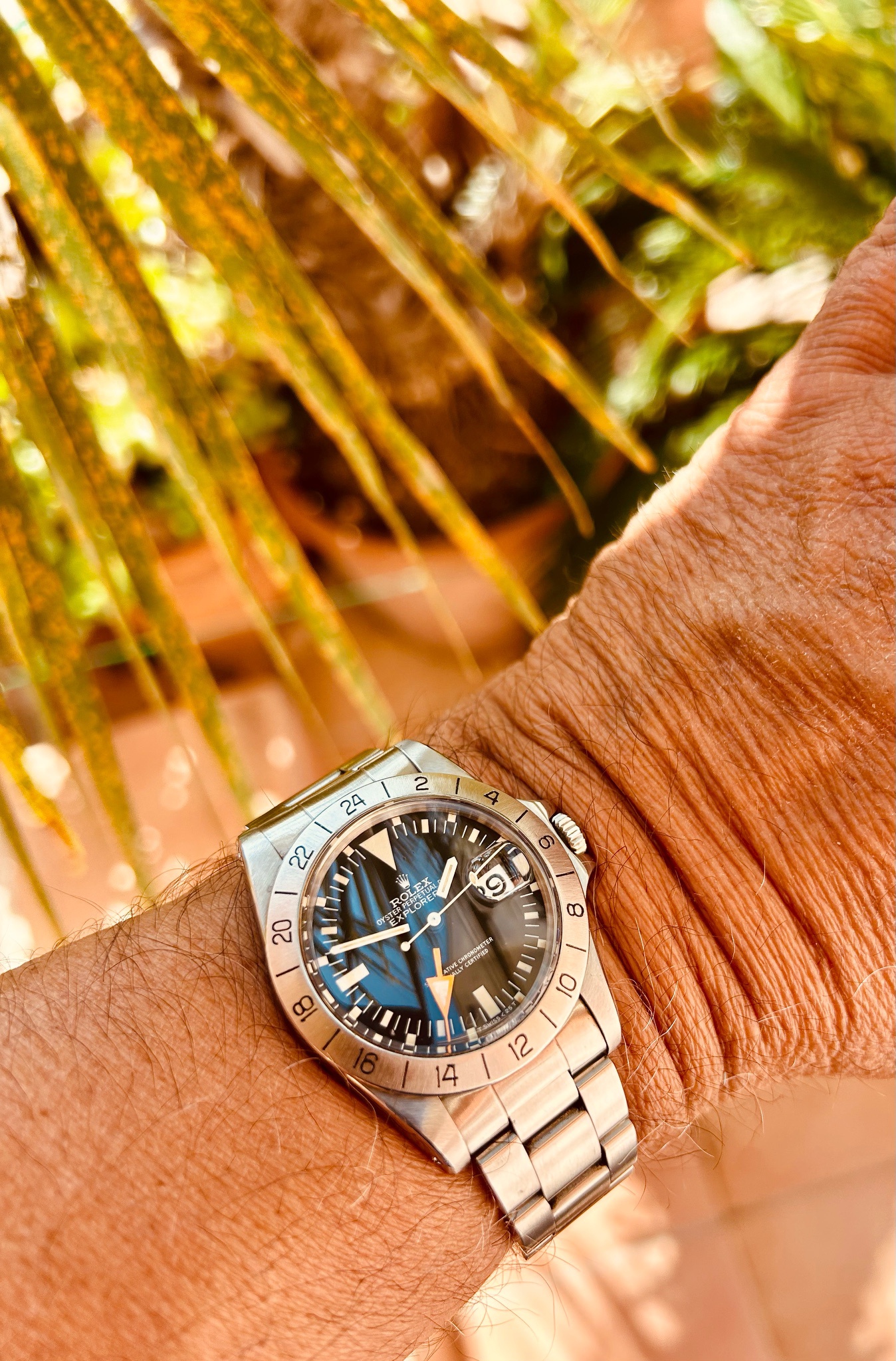 Watch by Rolex, 1655, Explorer II