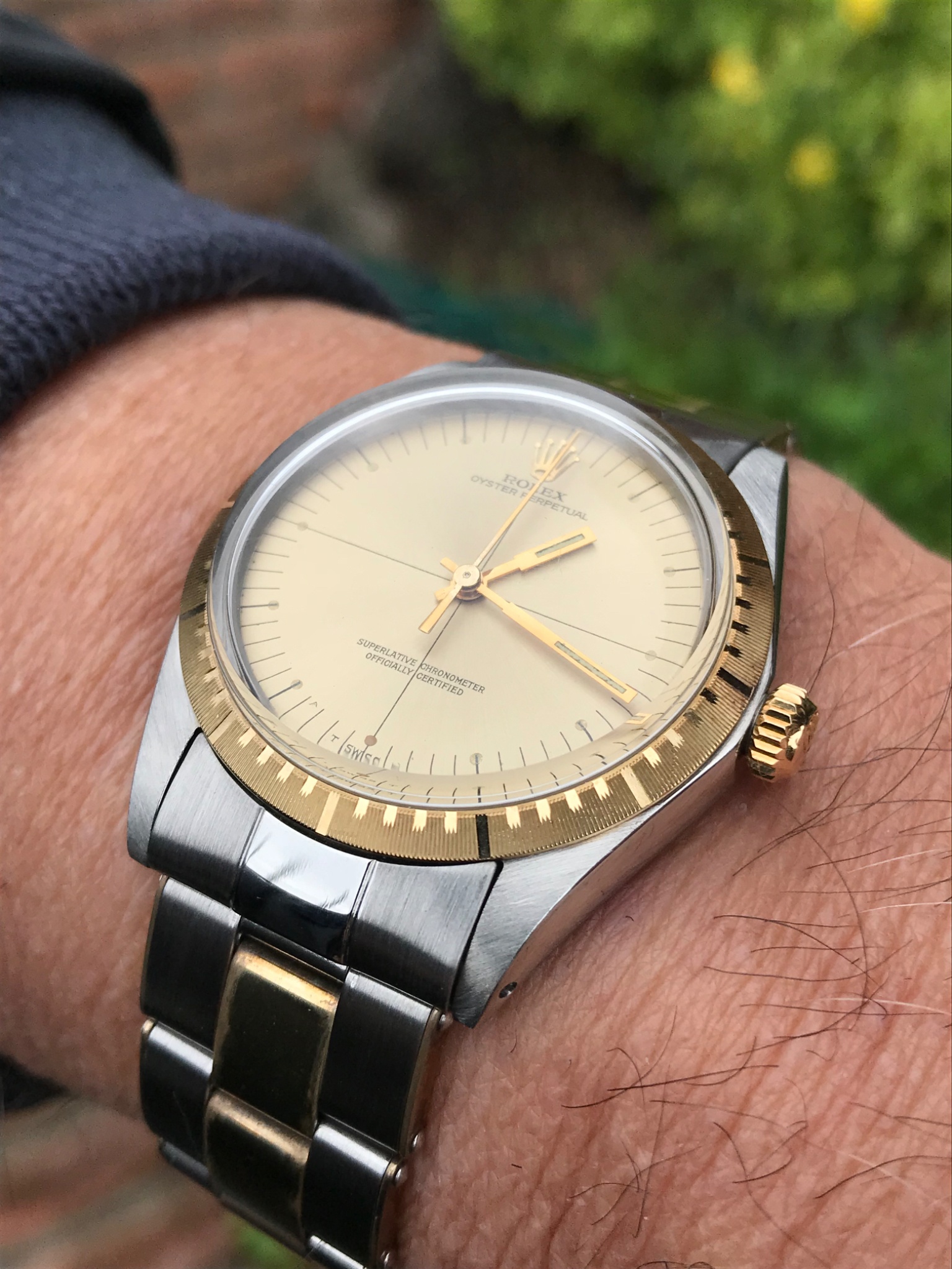 Watch by Rolex, Oyster Perpetual, 1038