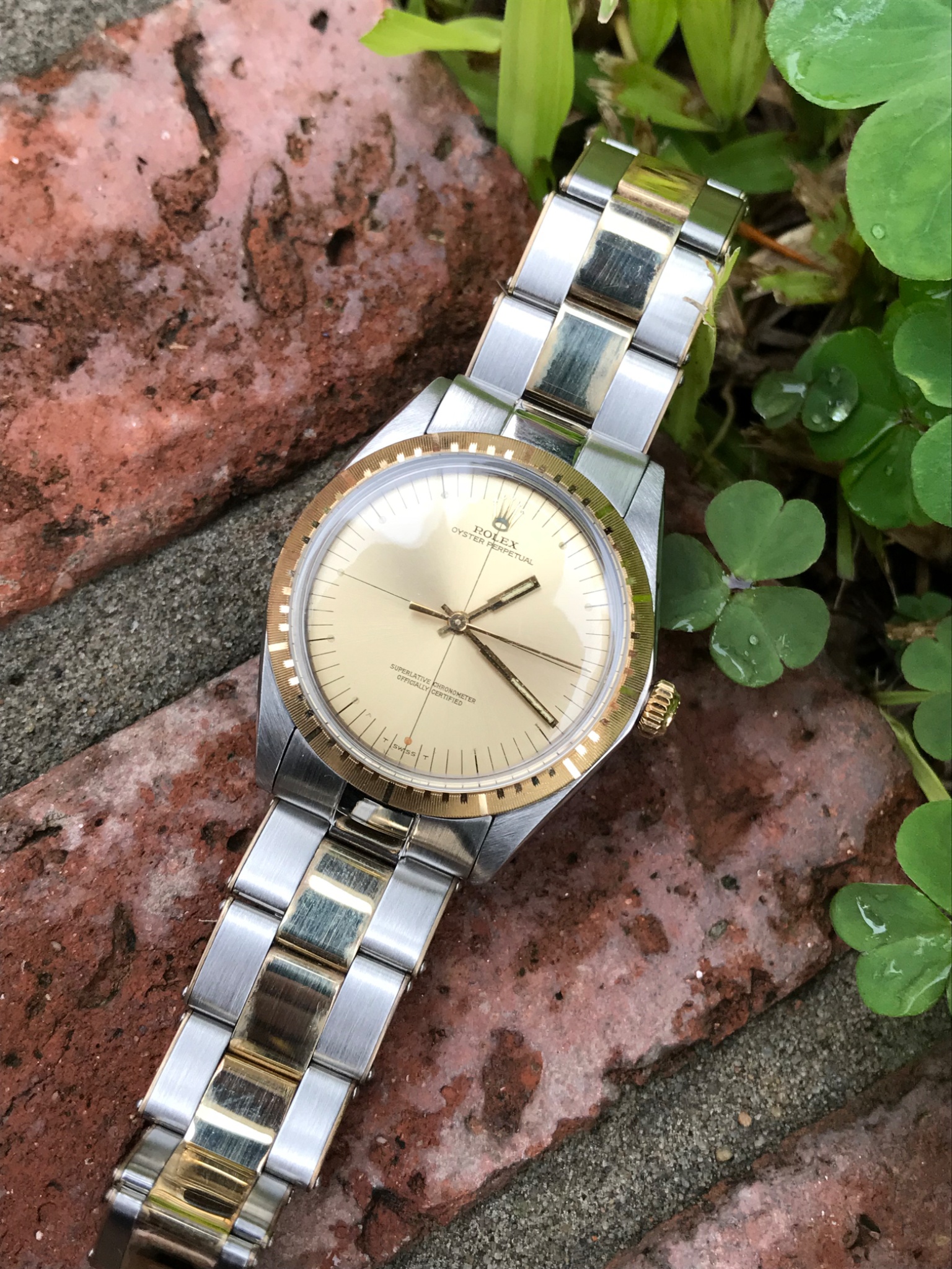 Watch by Rolex, Oyster Perpetual, 1038