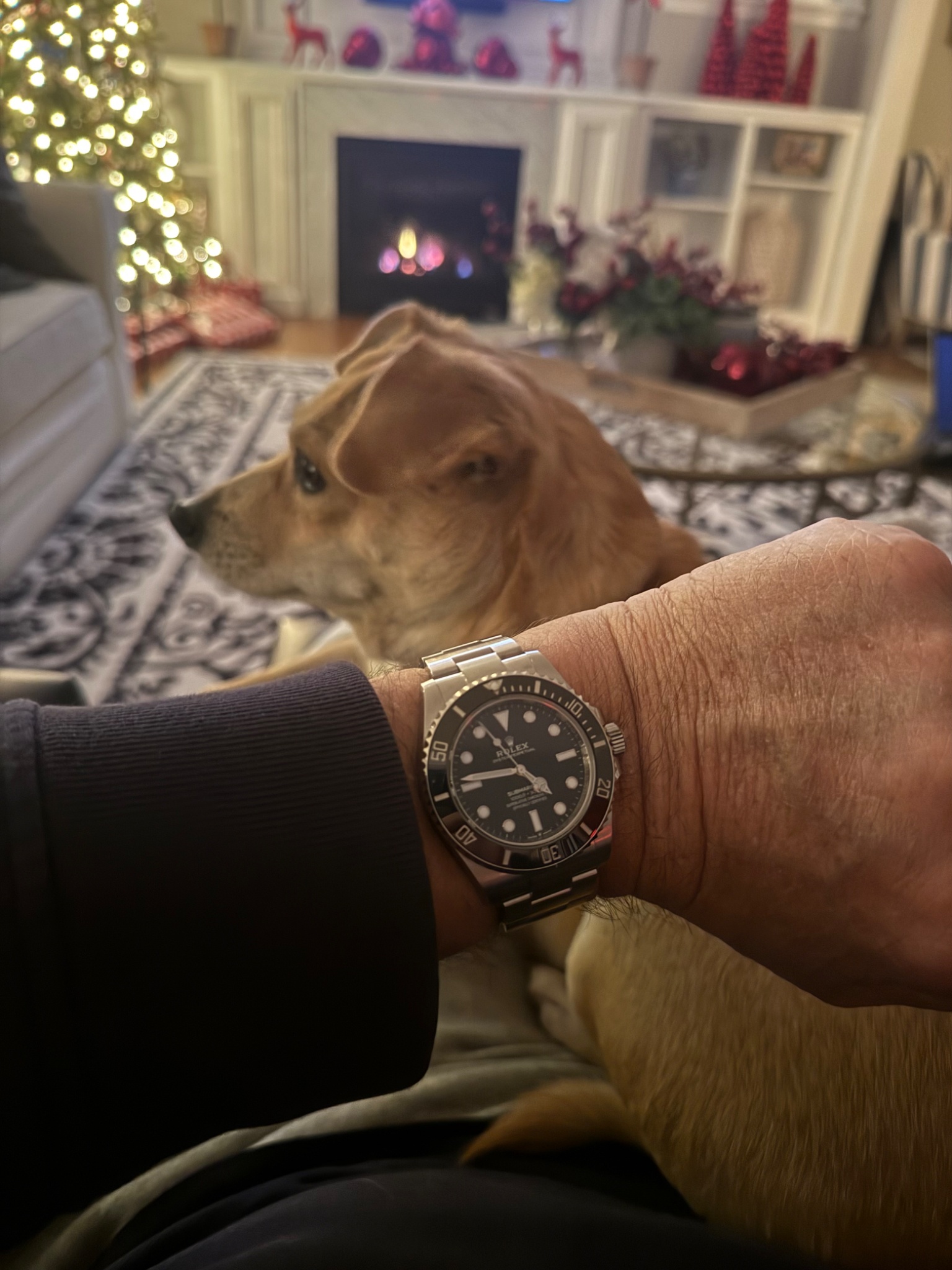 Watch by Rolex, Submariner, Sea Dweller, CWC