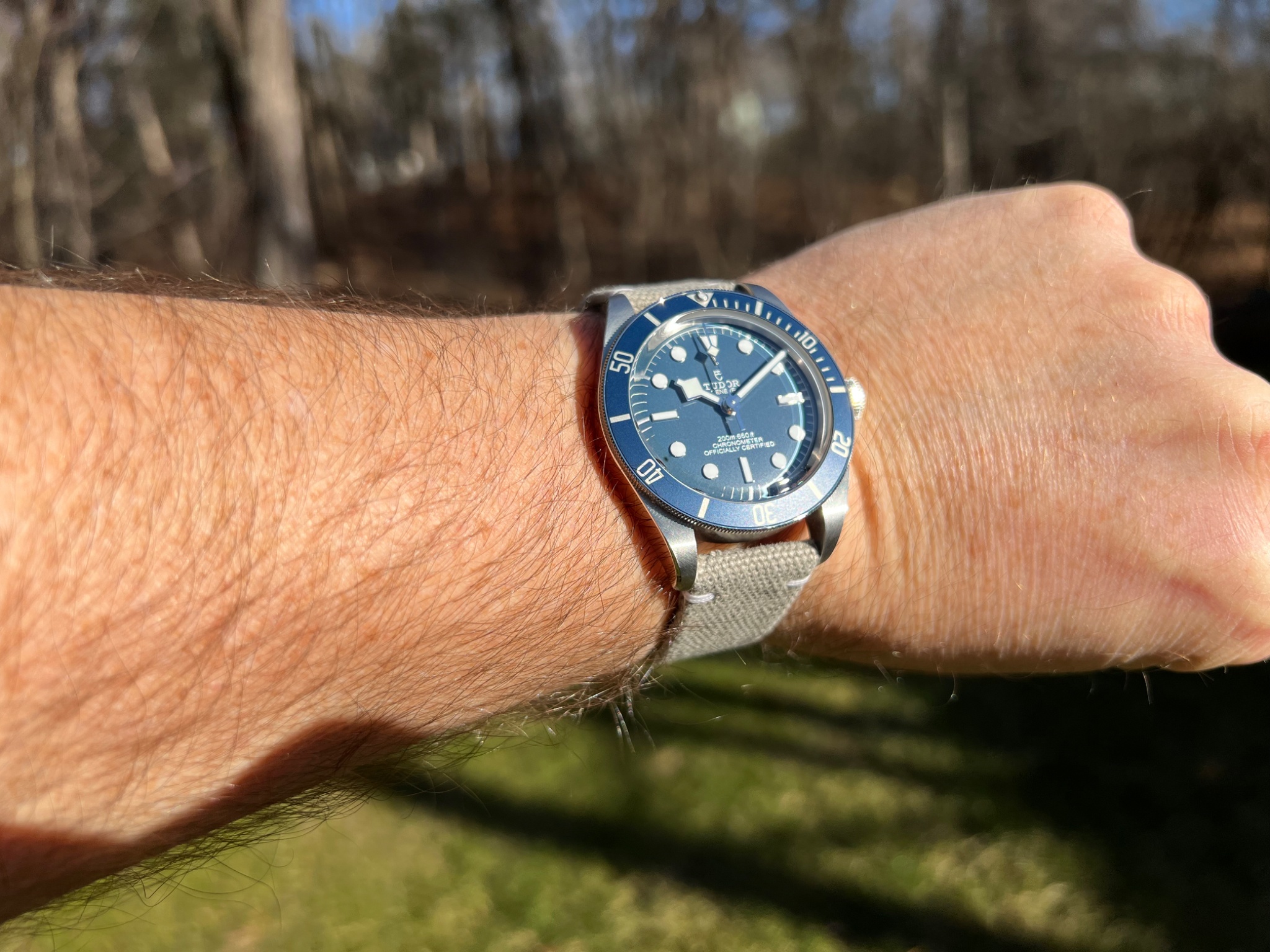 Watch by Rolex, Tudor, Black Bay, 79030B