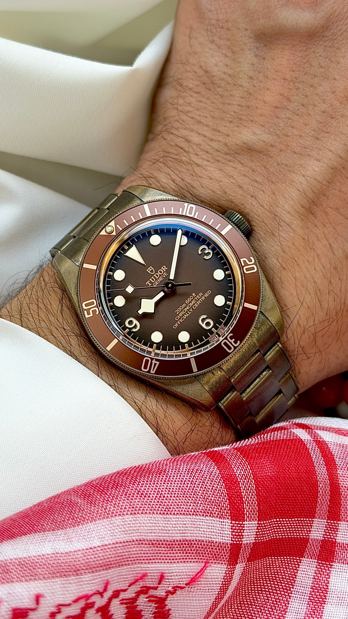 Watch by Rolex, 79250BM, Black Bay, Black Bay Bronze, Tudor