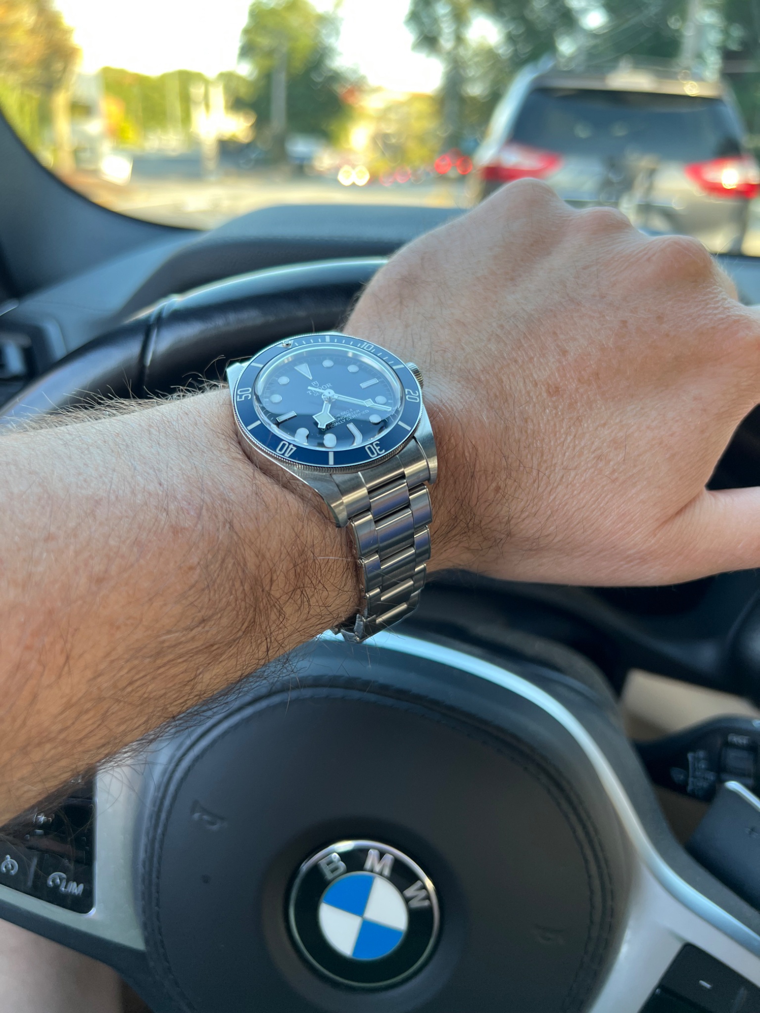 Watch by Rolex, Tudor, Black Bay, 79030N