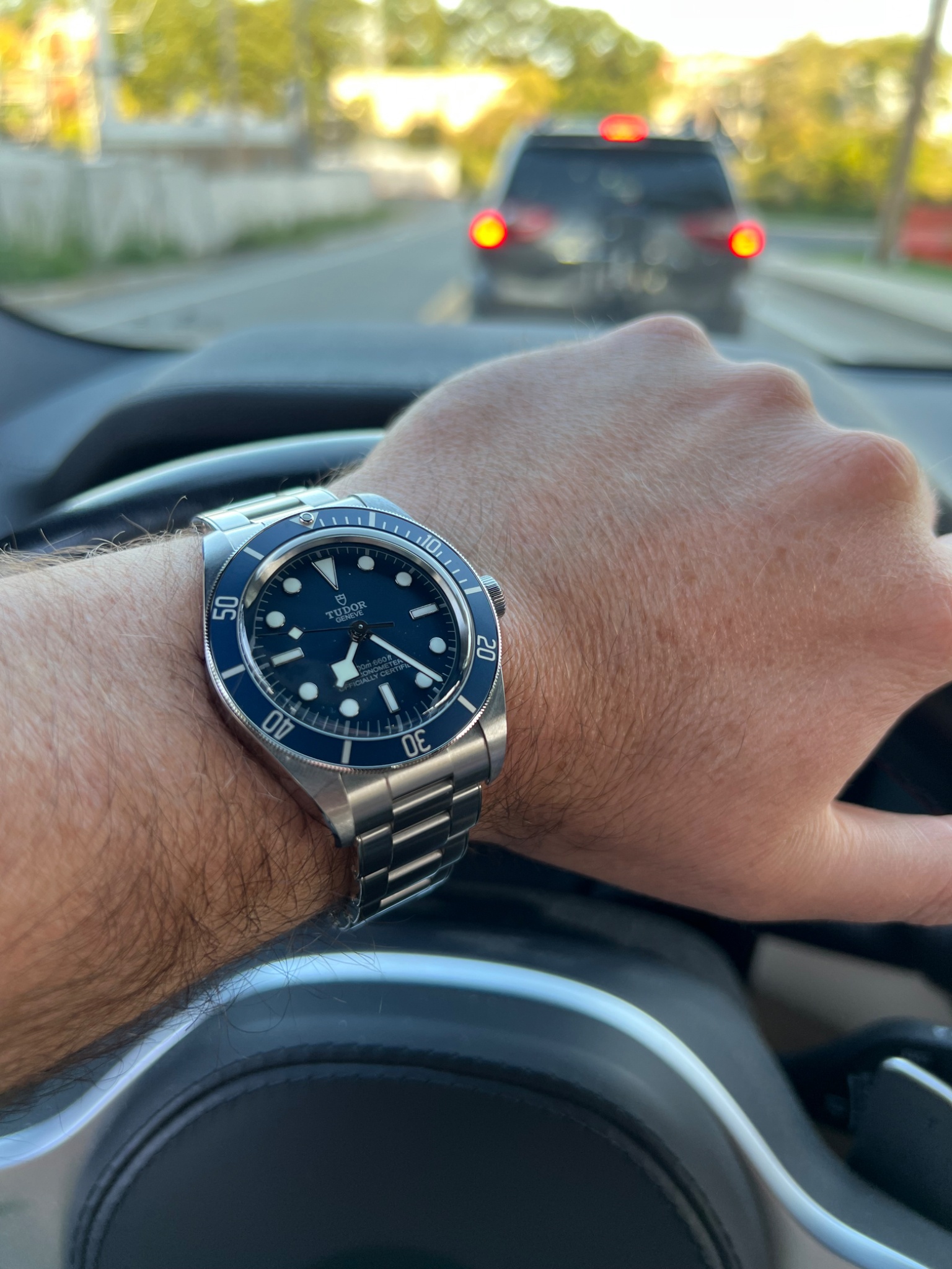 Watch by Rolex, Tudor, Black Bay, 79030N