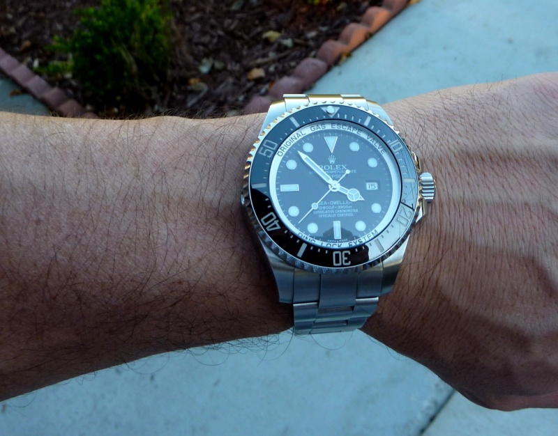 I love the Ceramic Bezel but I do wish it was matte black like the JLC NSA but I wish the NSA's bezel has 120 clicks like the DS.