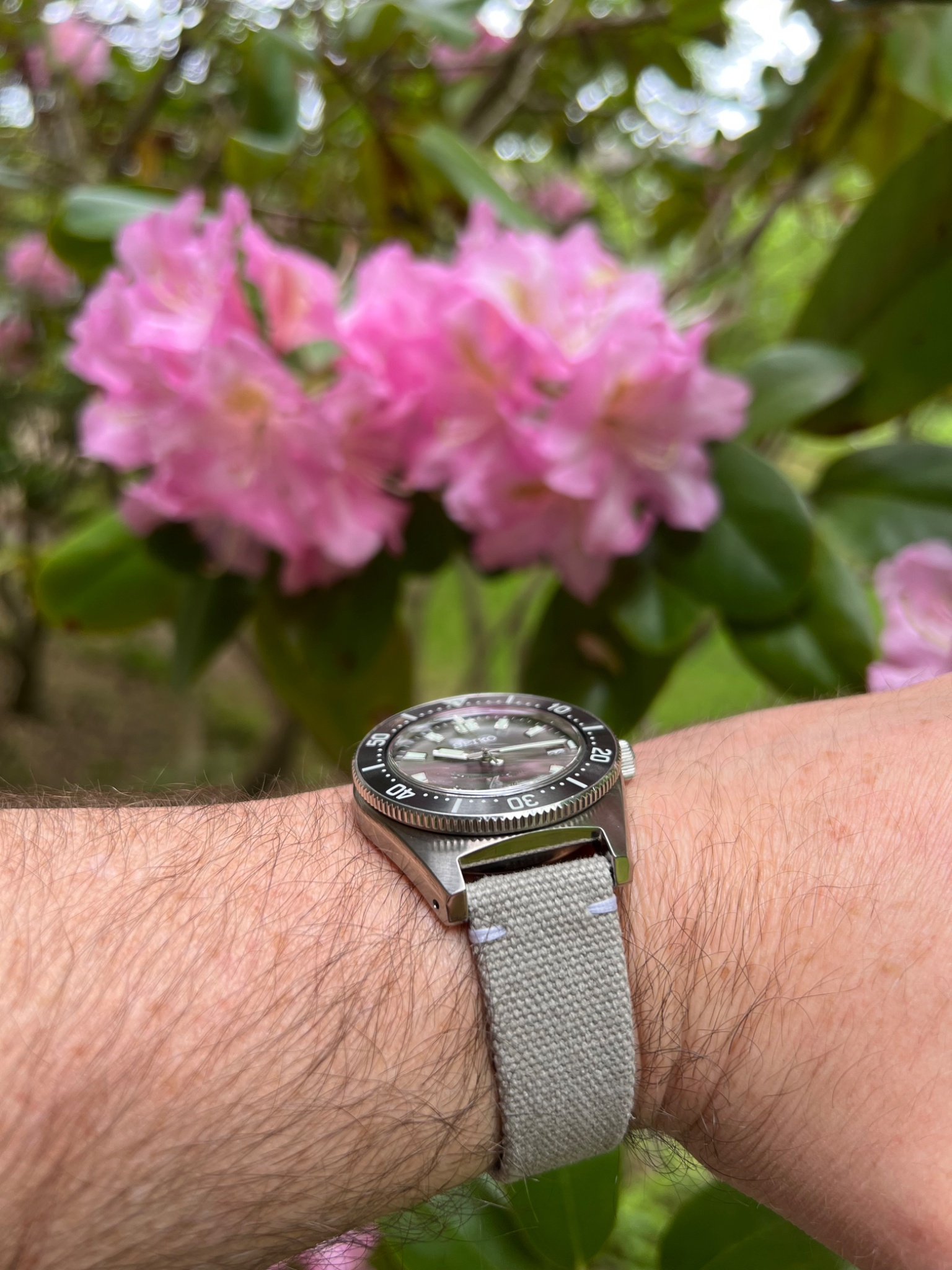Watch by Seiko, Seiko Prospex, SPB143