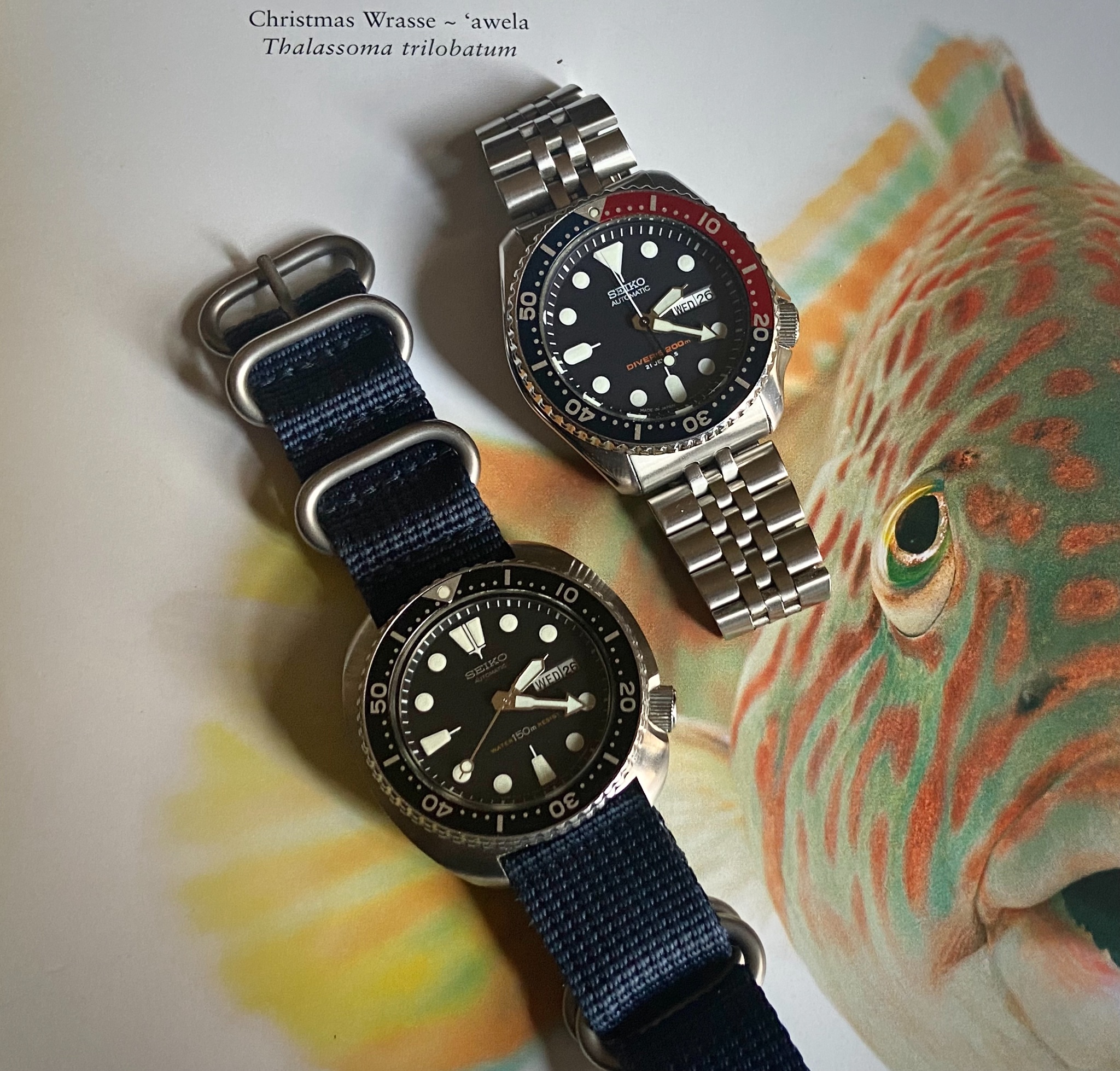 Seiko SKX 7S26-0020 Professional Diver Review — WatchProSite Forum