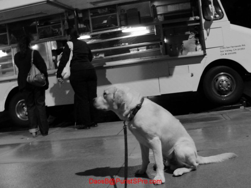 Reign is waiting for my bacon (no bacon for him, although they offered him a free sample).