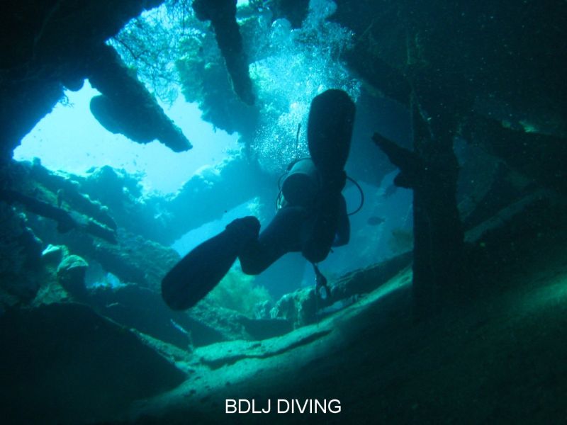 Inside the Liberty - Nice Swim-through