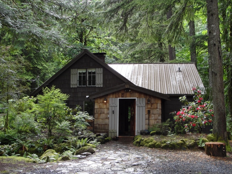 First view of our creekside cabin.