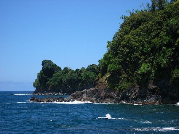 The coastline viewed from the Hawaii Tropical Gardens.
