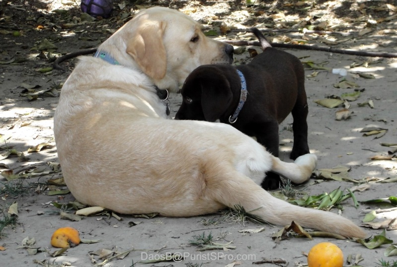 They do have their cute moments though!