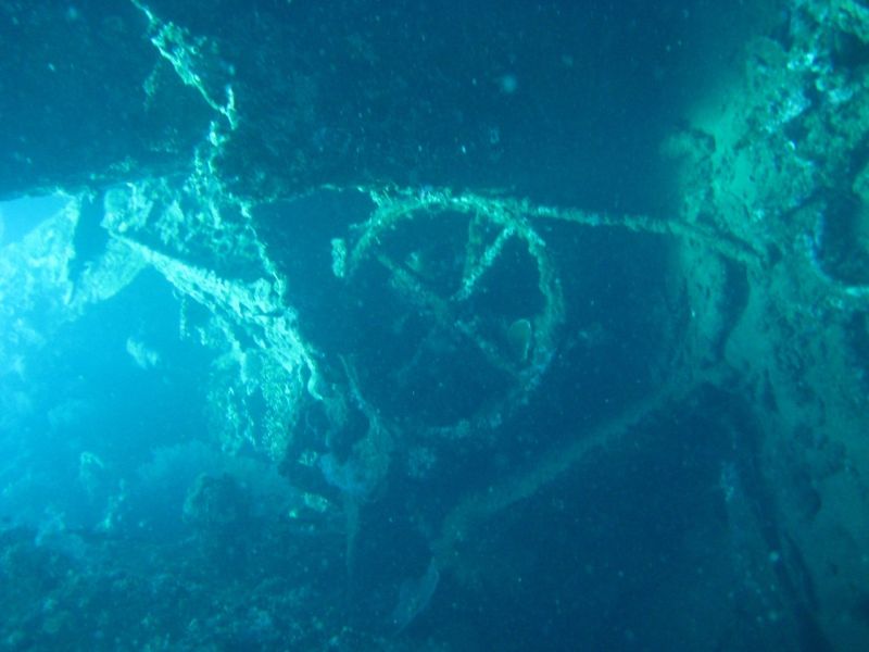 A valve wheel from the wreck