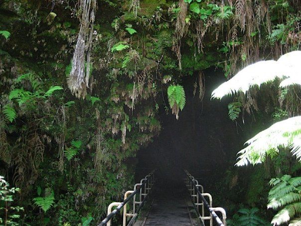 The foreboding opening of a lava tube. Hiking down to the tube and back up is not for the faint of heart (or flip-flop shod, as I found out.), but well worth the trip. Bring your sneakers!